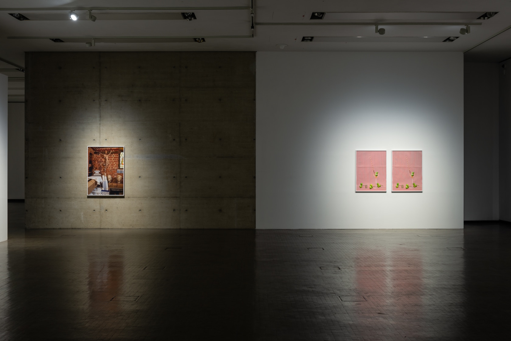 Exhibition view: Annette Kelm, Tomato Target, Kunsthalle Wien, Vienna (2018). Photo © Jorit Aust