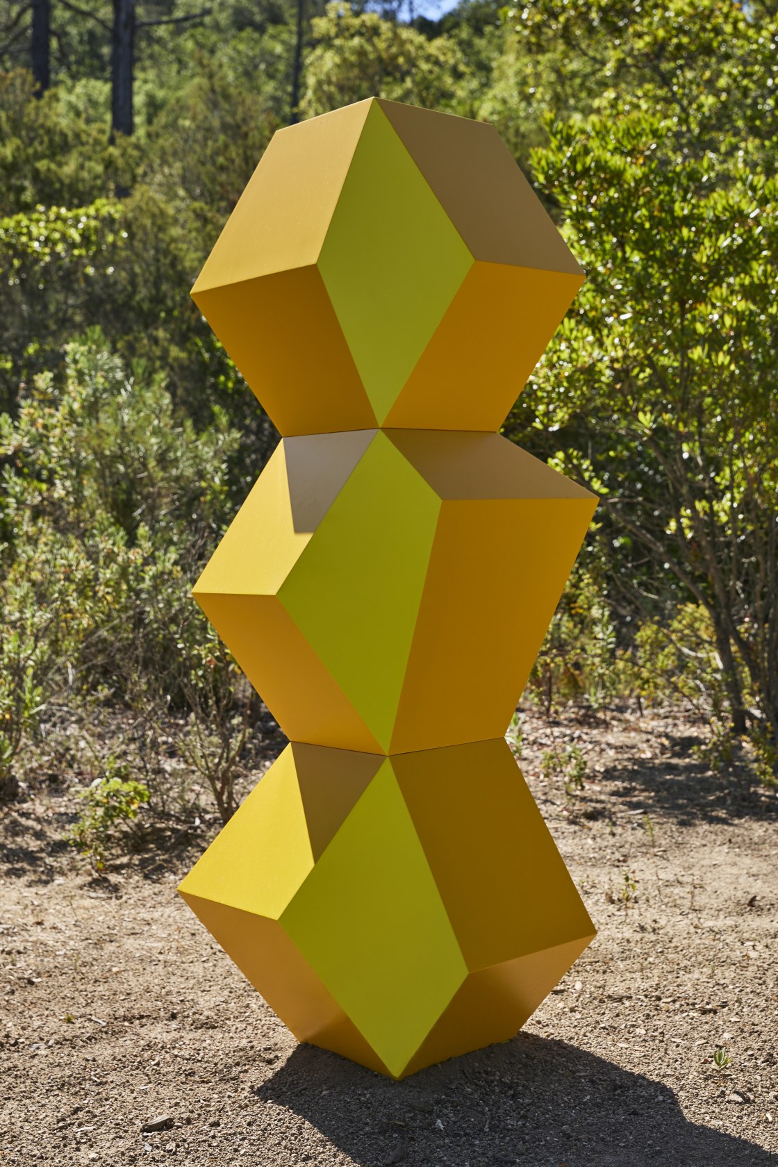 Exhibition view: Esther Schipper x Domaine du Muy, 2024 Photo © Jean-Christophe Lett