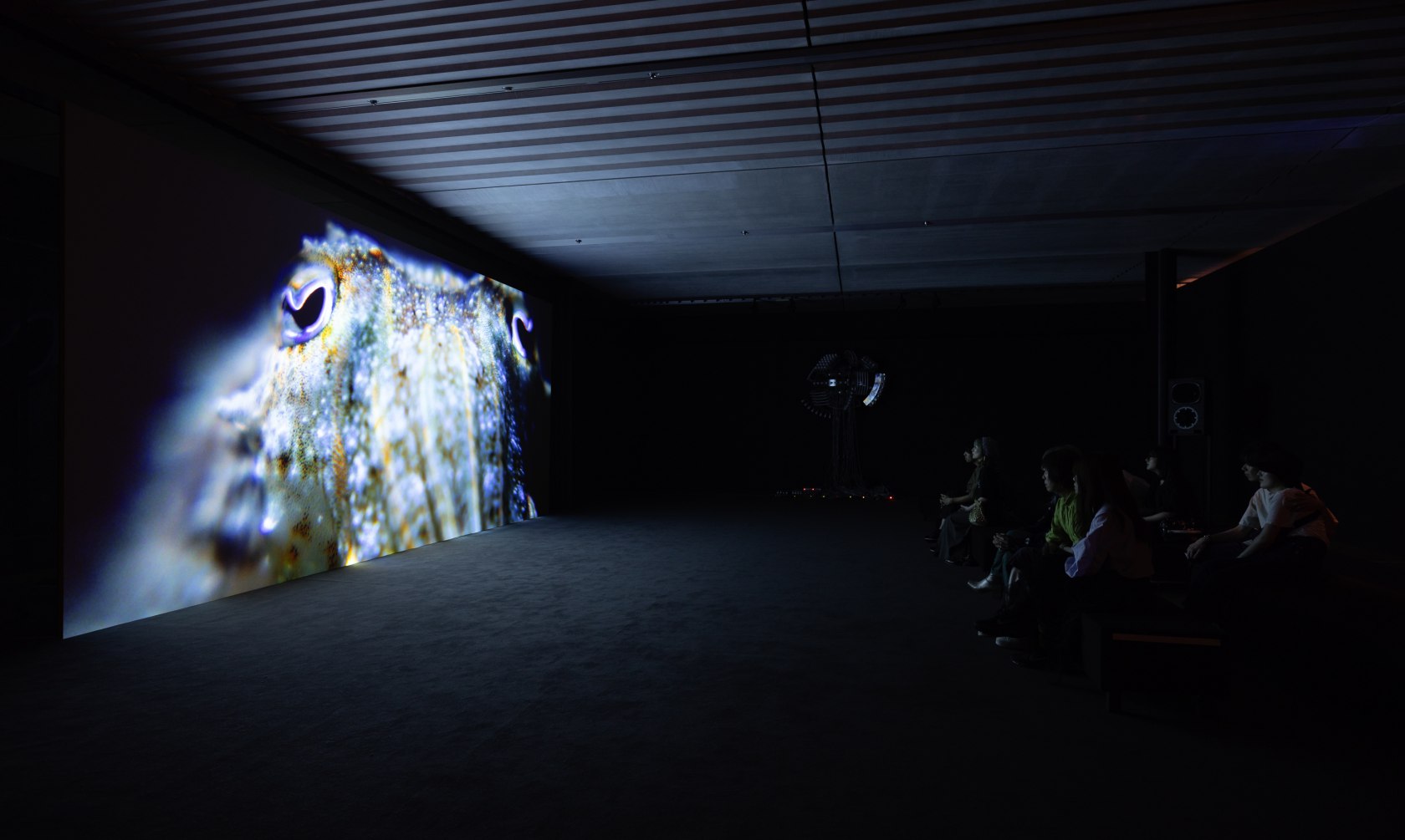 Exhibition view: Philippe Parreno, Philippe Parreno: Places and Spaces, Pola Museum of Art, Hakone, 2024. Photo © Andrea Rossetti