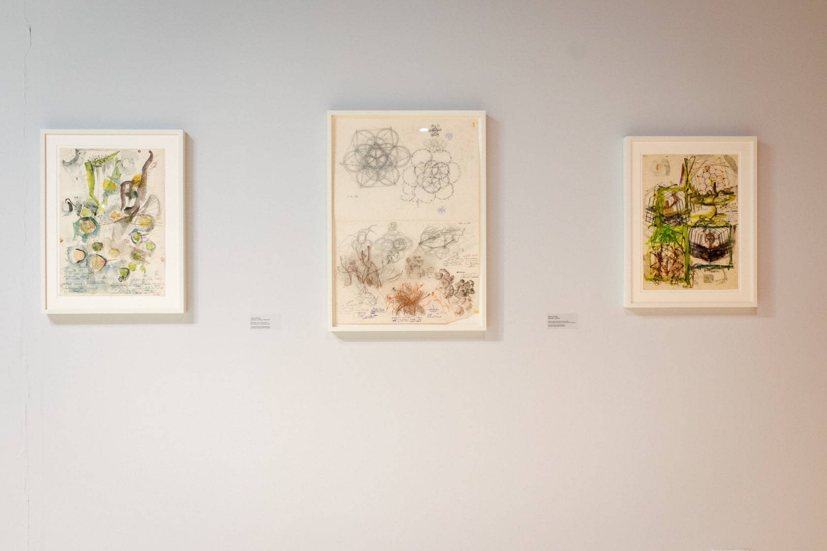 Exhibition view: Stefan Bertalan, In Tune With The World, Timisoara Art Foundation, Timisoara, 2025. Photo © Remus Daescu