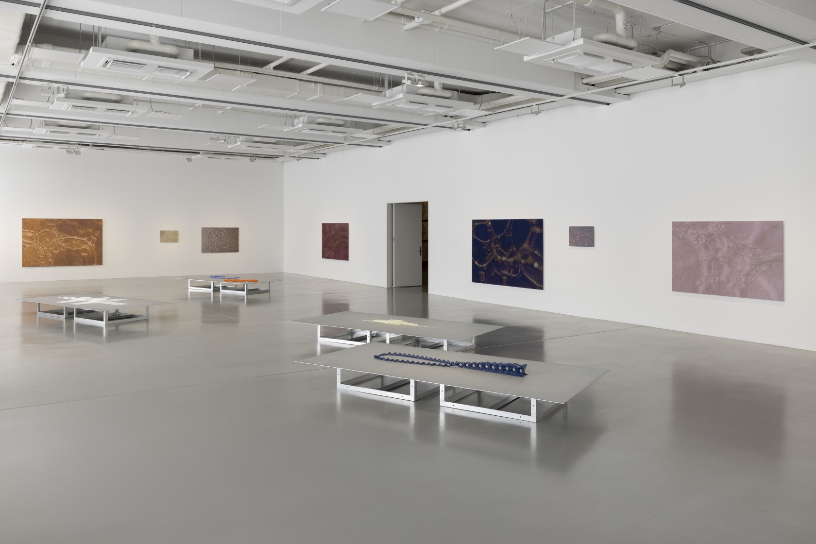 Installation view Tauba Auerbach: Tide, Fridericianum, Kassel. © Tauba Auerbach, documenta und Museum Fridericianum. Photo: Andrea Rossetti