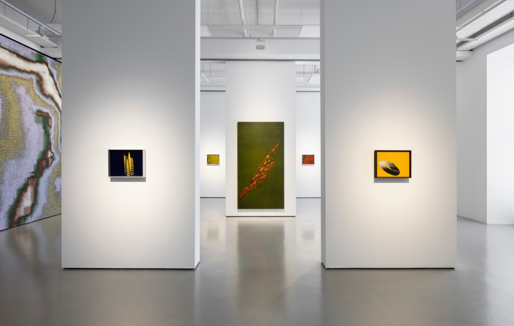 Installation view Tauba Auerbach: Tide, Fridericianum, Kassel. © Tauba Auerbach, documenta und Museum Fridericianum. Photo: Andrea Rossetti