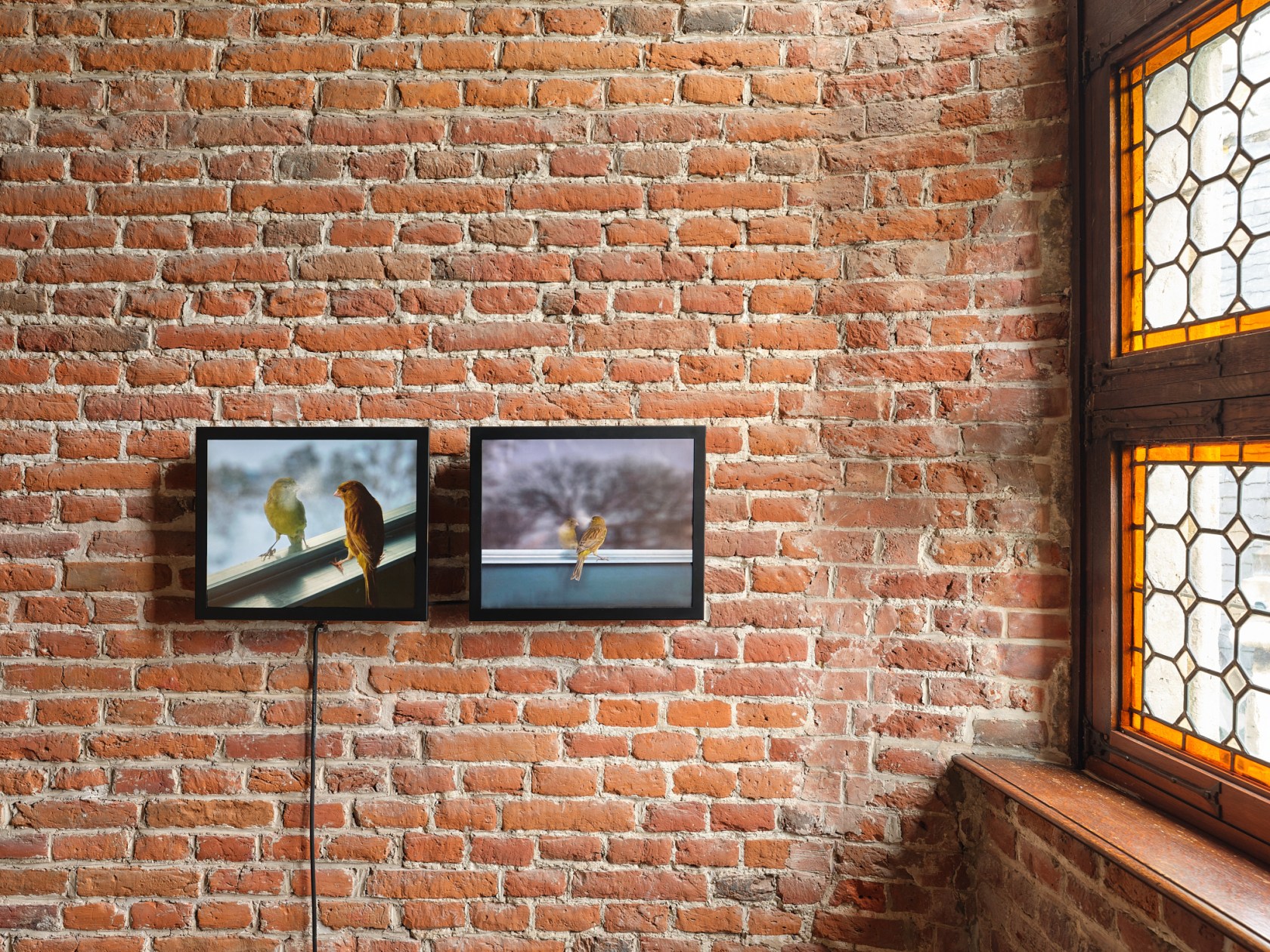 Exhibition view: David Claerbout, At the window / Feel the heartbeat of history, Gaasbeek Castle, Lennik, 2025. Photo © Alex...