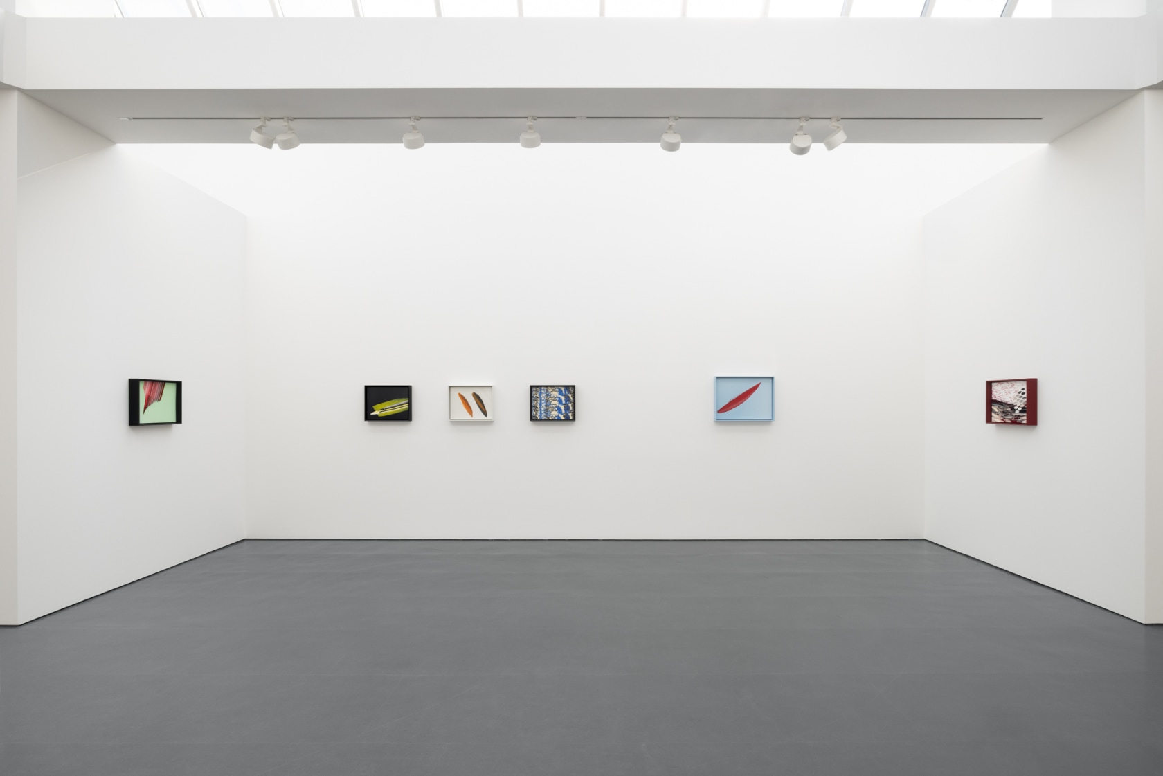 Exhibition view: Tauba Auerbach, Clepsydra, Esther Schipper, Berlin, 2025. Photo © Andrea Rossetti