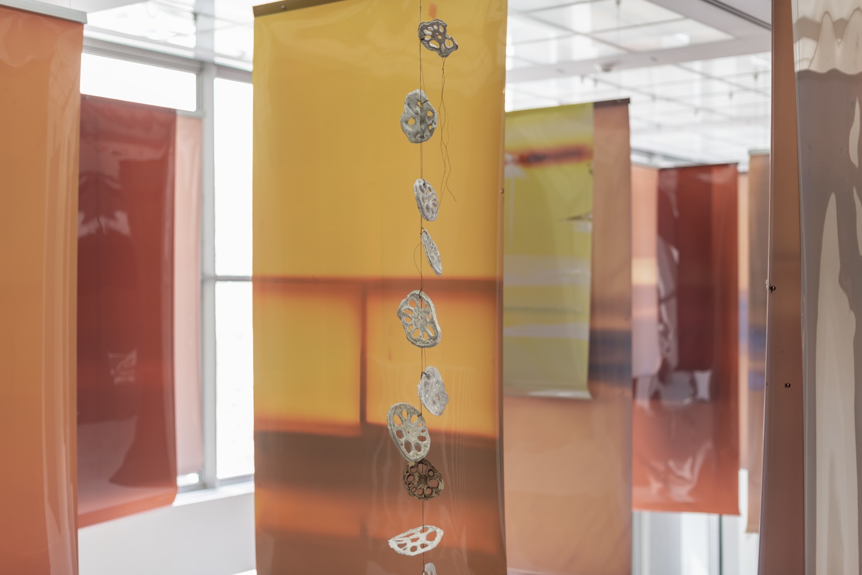 Exhibition view: Atrium Project: Lotus L. Kang, MCA Chicago 2023 - 2024. Photo: Shelby Ragsdale, © MCA Chicago