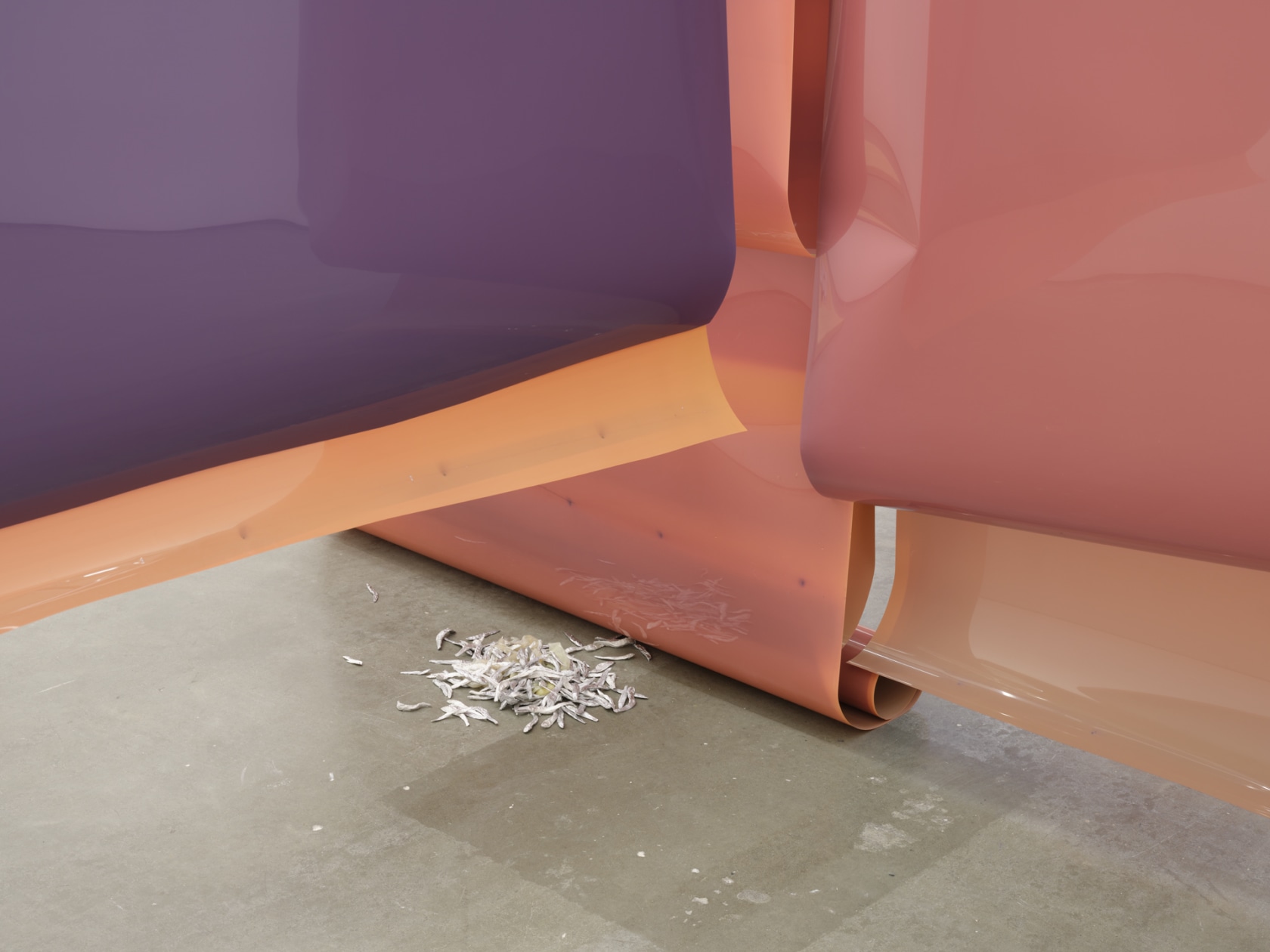 Exhibition view: Lotus L. Kang, In Cascades, Contemporary Art Gallery Vancouver, 2023. Photo © Rachel Topham Photography