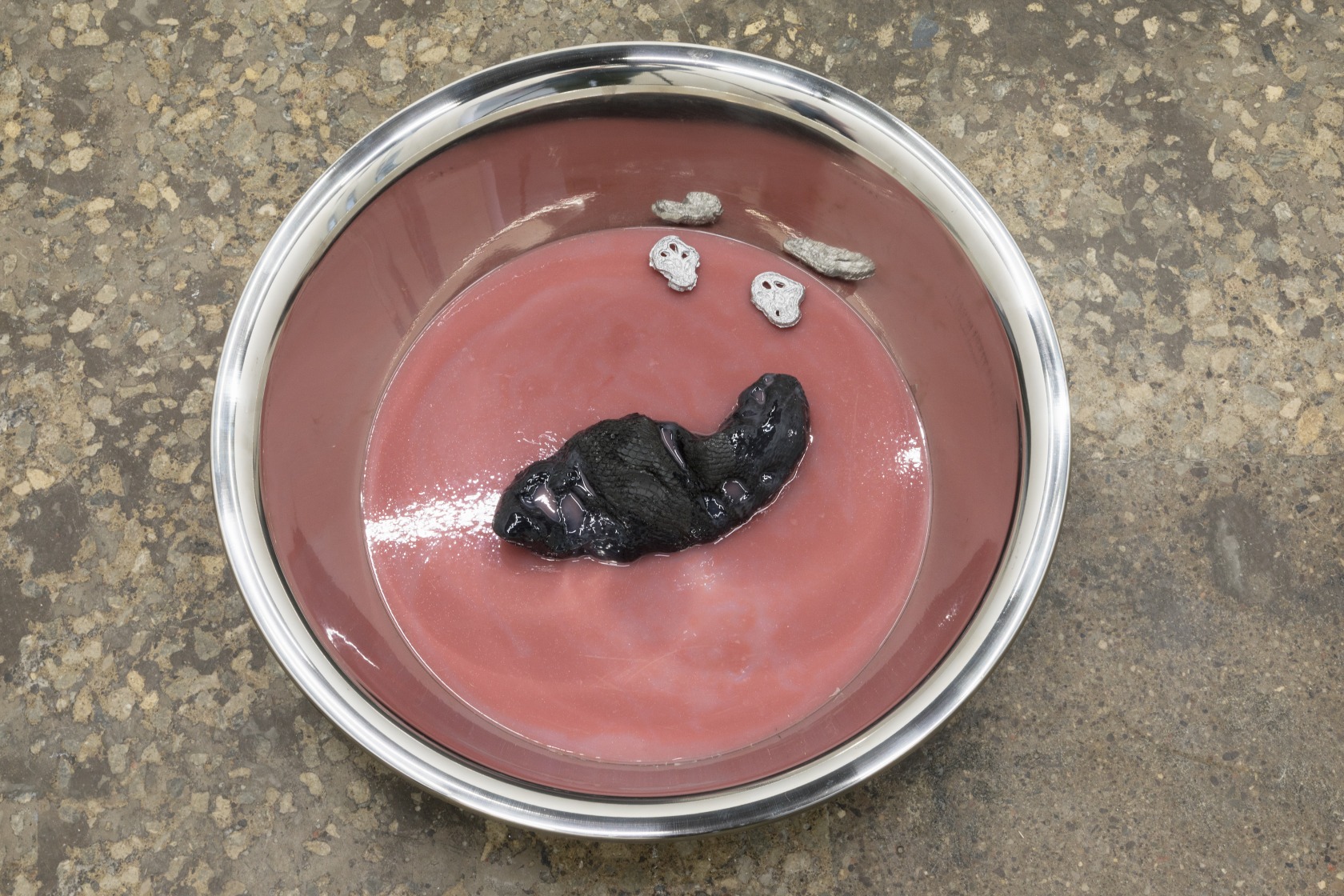 Exhibition view: Lotus L. Kang, A Body Knots, Gallery TPW, Toronto, 2018. Photo © Jimmy Limit