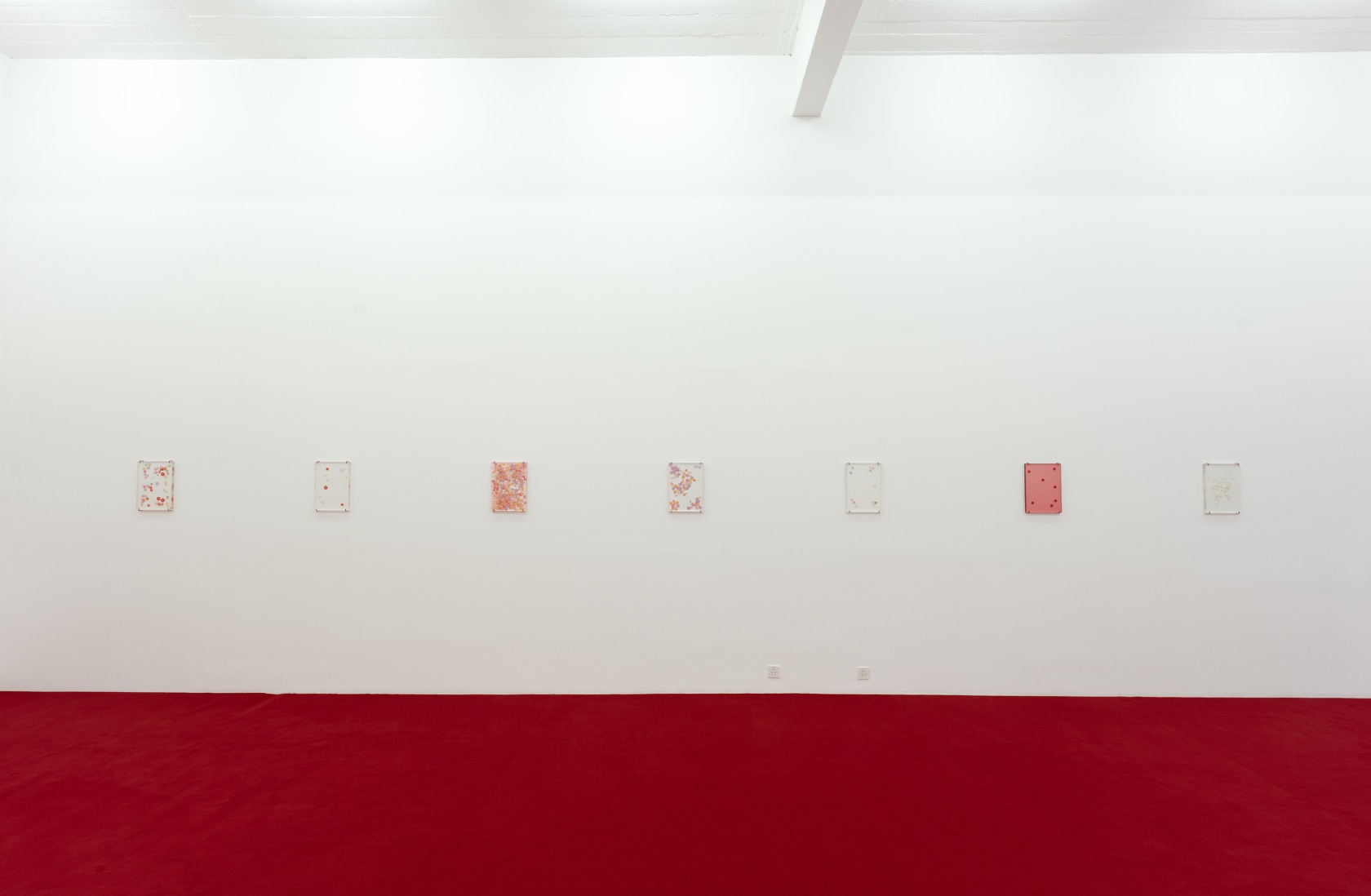 Exhibition view: Cemile Sahin, BB – BORN TO BLOOM, Kunst Halle Sankt Gallen, 2025. Photo © Kunst Halle Sankt Gallen,...