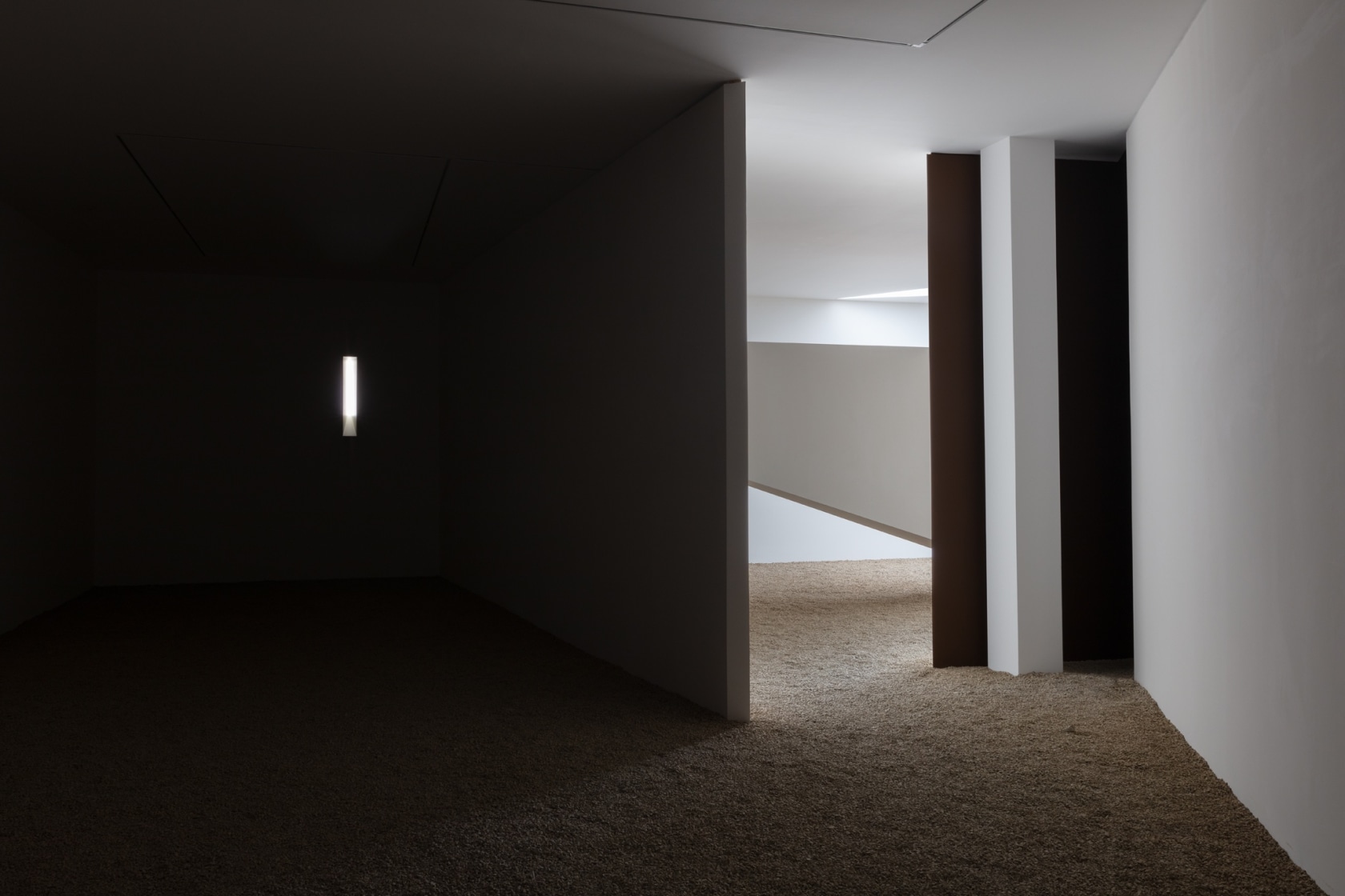 Exhibition view: Fog Dog, Esther Schipper, Berlin, 2020. Photo © Andrea Rossetti