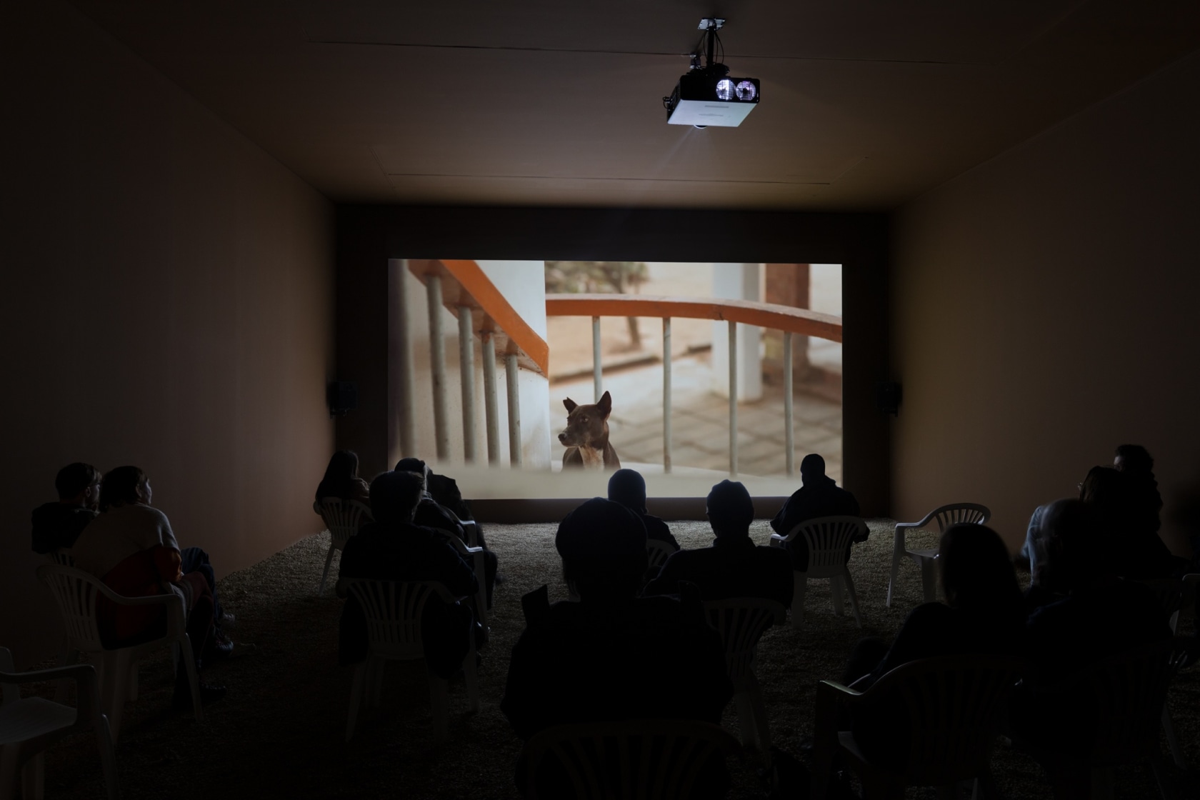 Daniel Steegmann Mangrané, Fog Dog, 2020, 2k video (color, stereo sound). Exhibition view: Daniel Steegmann Mangrané, Fog Dog, Esther Schipper,...