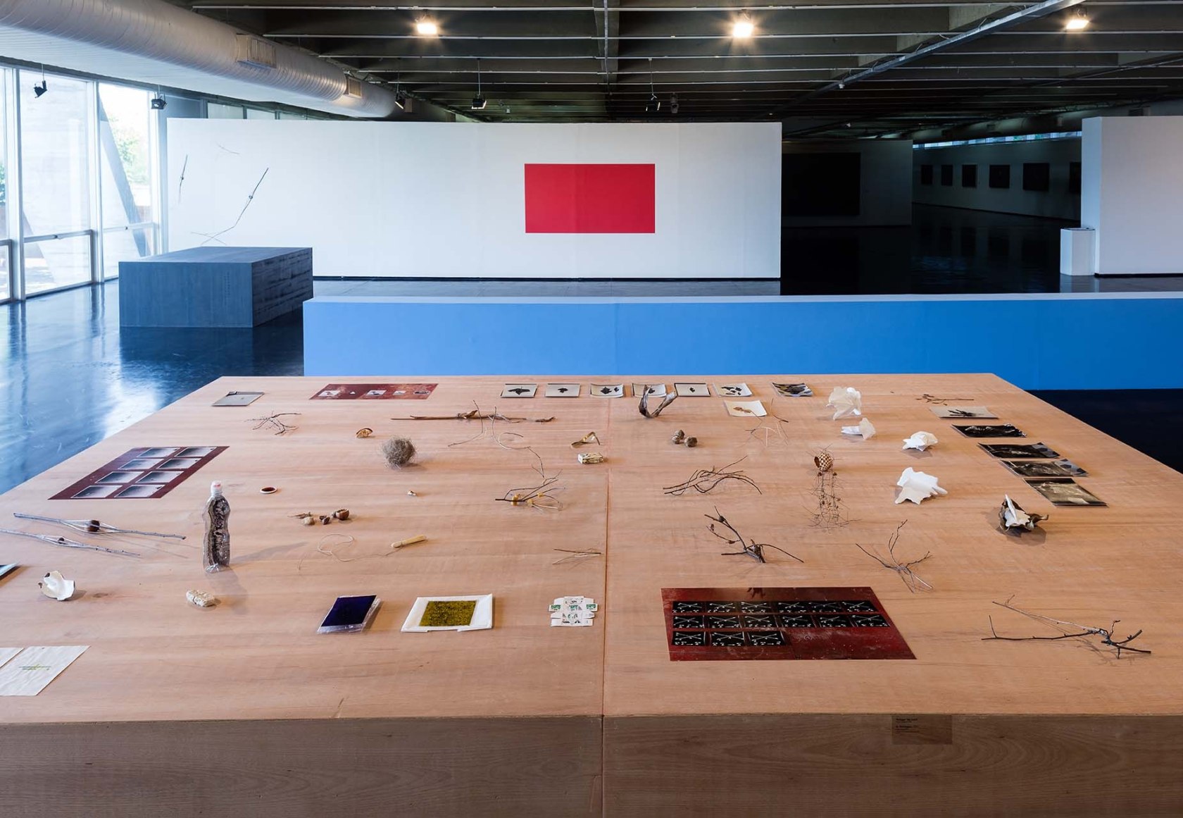 Exhibition view: Daniel Steegmann Mangrané and Philippe Van Snick, Museu de Arte Moderna, Rio de Janeiro, 2015 Photo © Jaime...