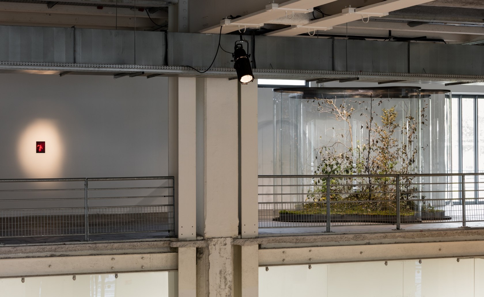 A Transparent Leaf Instead Of The Mouth, 2016-17 Glass, metal, ecosystem with stick and leaf insects 250 x 500 x...