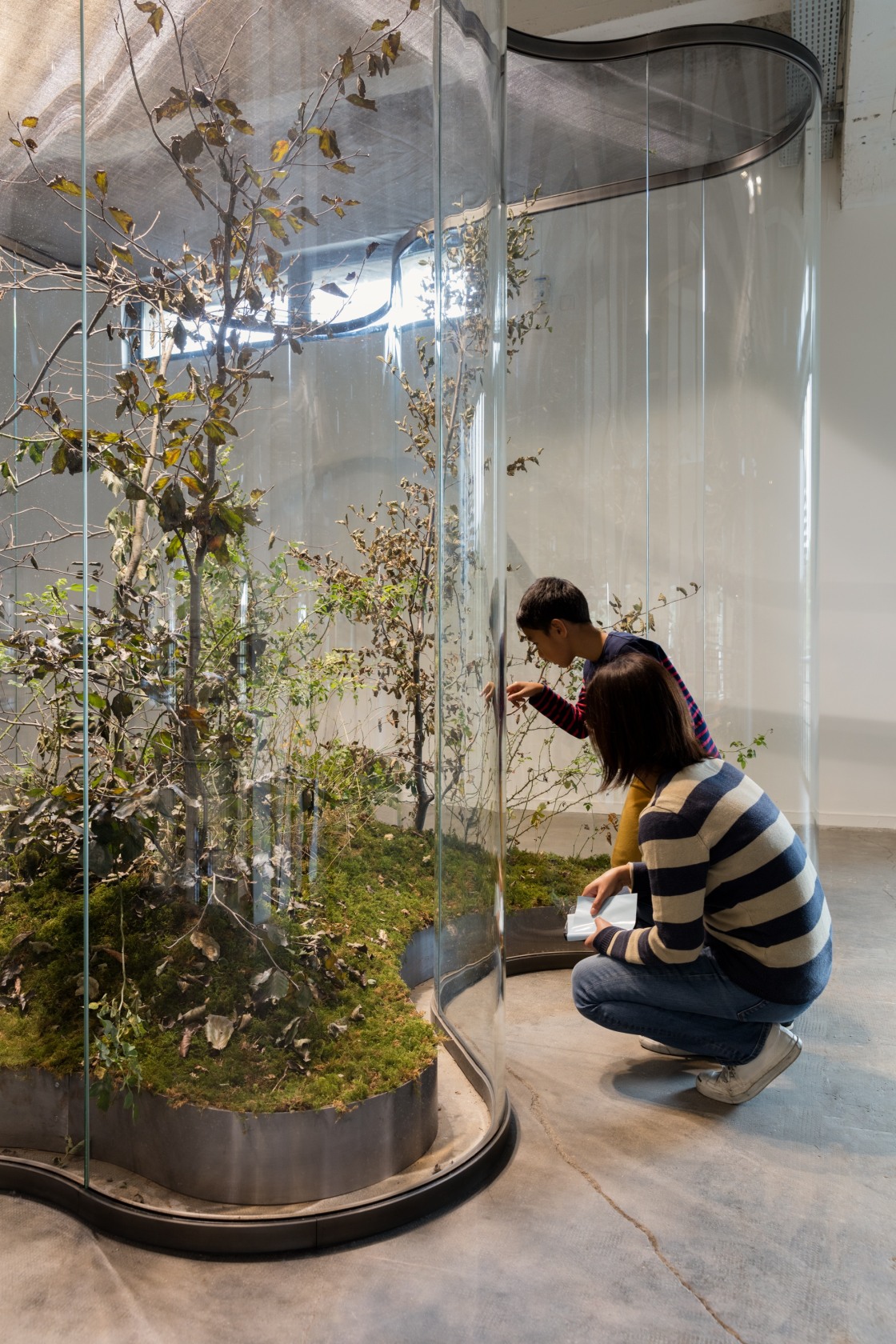 A Transparent Leaf Instead Of The Mouth, 2016-17 Glass, metal, ecosystem with stick and leaf insects 250 x 500 x...