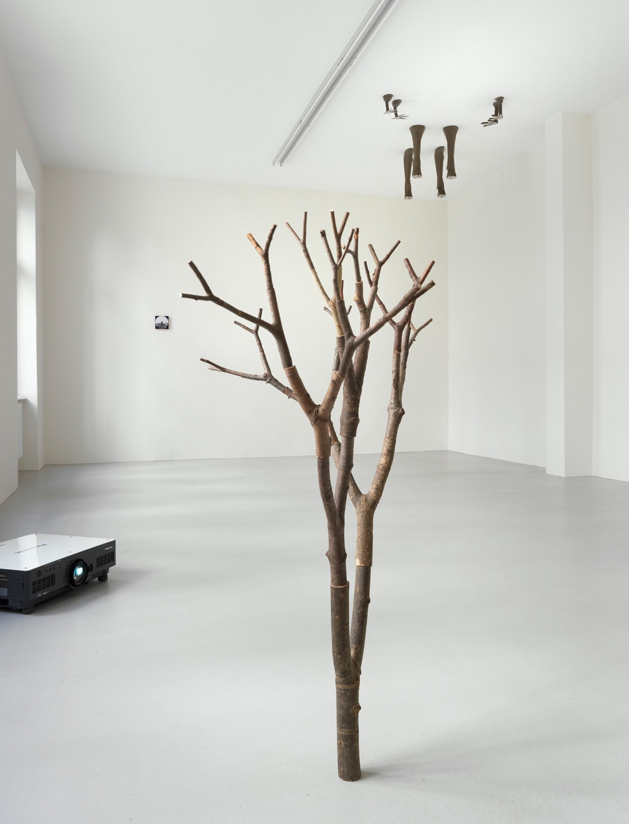 Exhibition view: Raimer Jochims, Skyscraping, Johnen Galerie, Berlin, 2012 Photo © Jens Ziehe