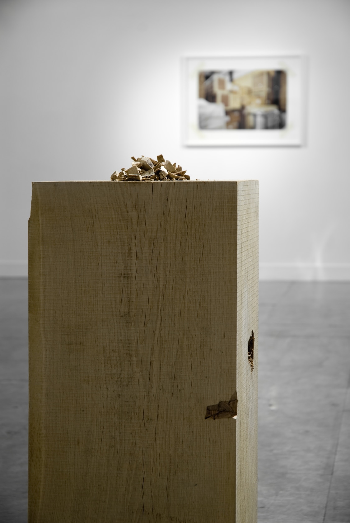 The Remains, 2010 (front) Oak wood, sculptor 100 x 30 x 30 cm, top variable dimensions Stock Figures, 2010 (back)...