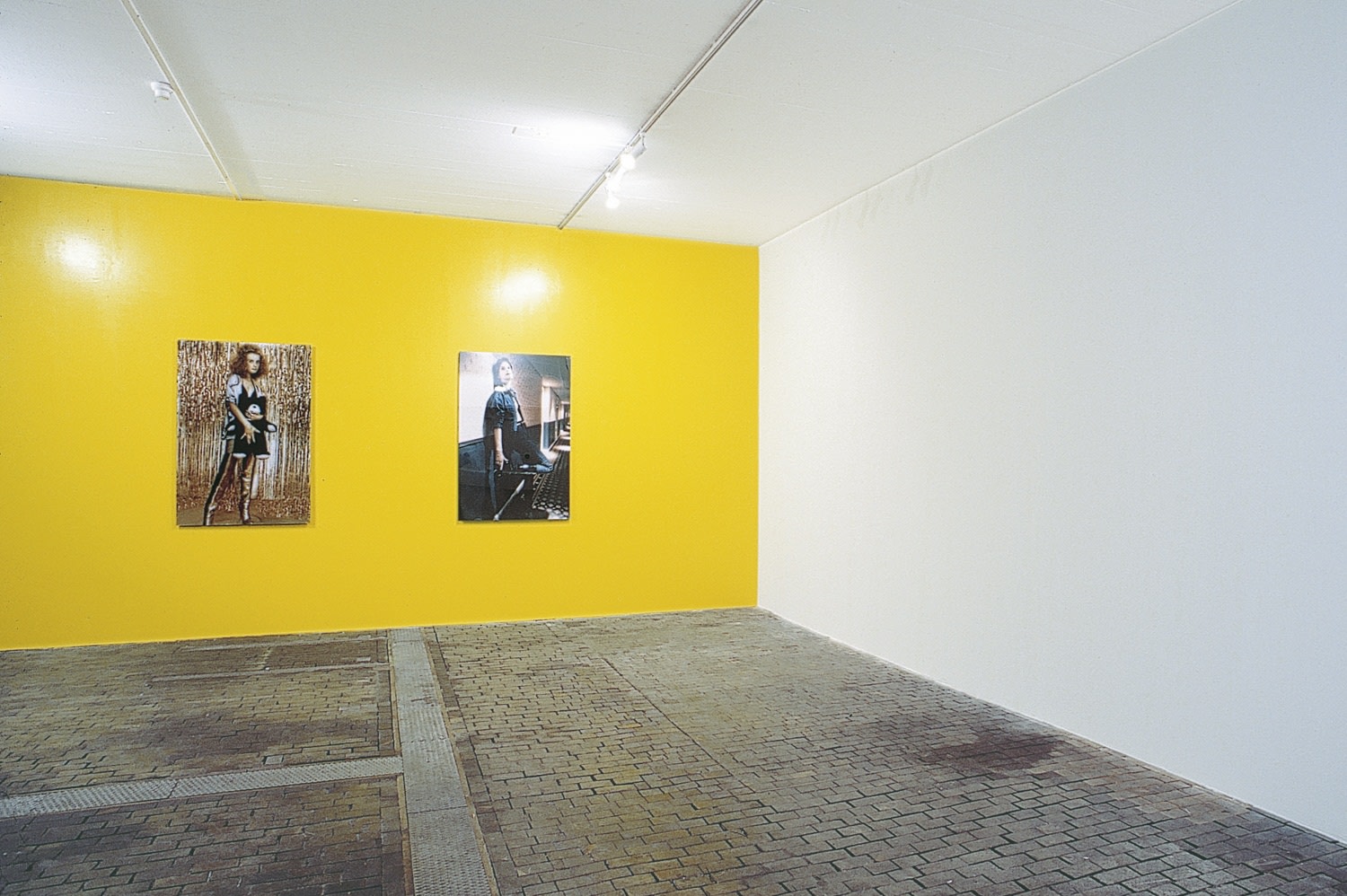 Exhibition view: heyday, Centre d'Art Contemporain, Geneva, 1996 Photo © Studio Rondinone