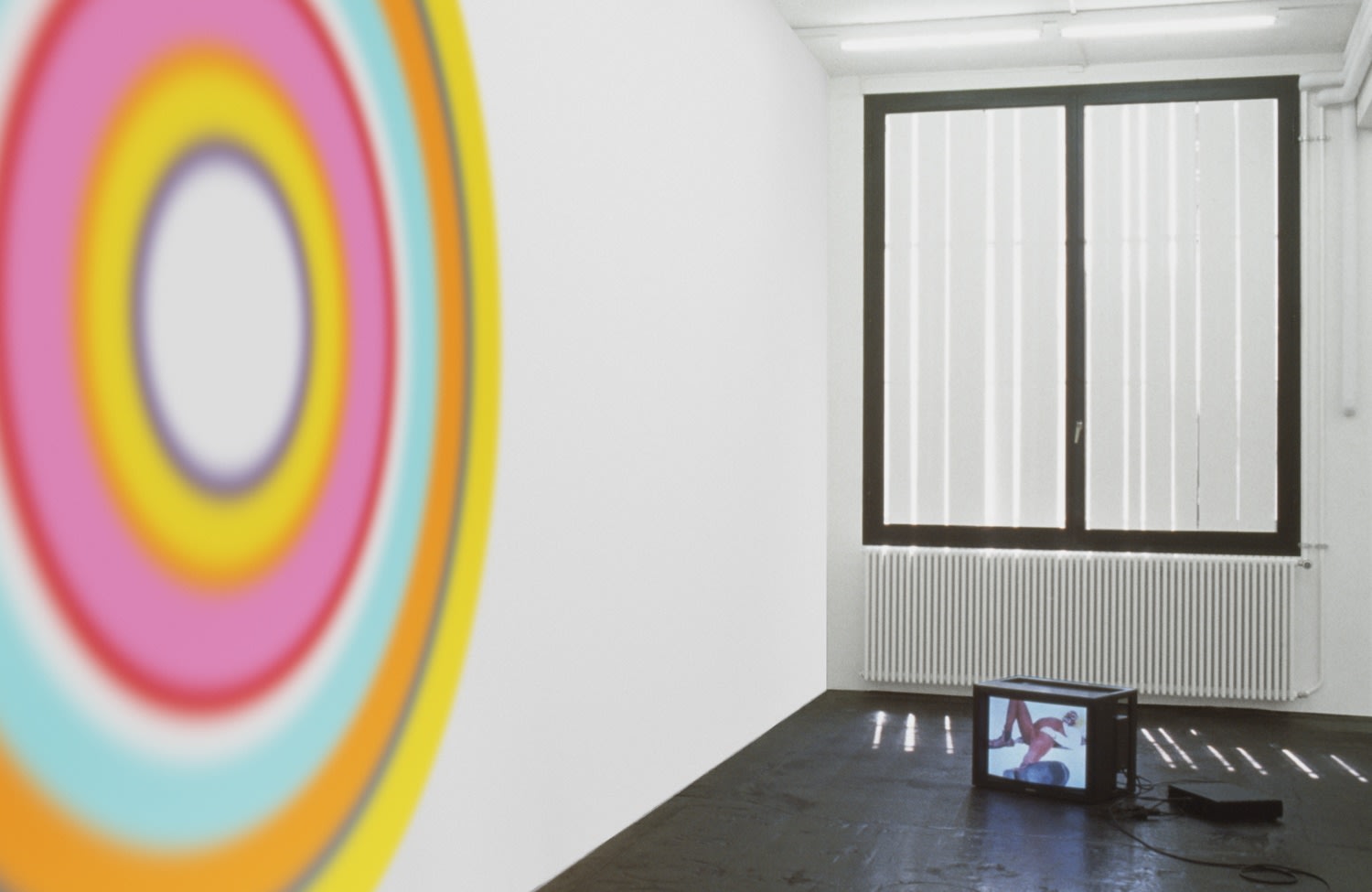 On the wall: zwölftermärzneunzehnhundertfünfundneunzig, 1995 (detail) Acrylic airbrush on canvas, silkscreen on plexiglass plaque ø 220 cm On the floor:...