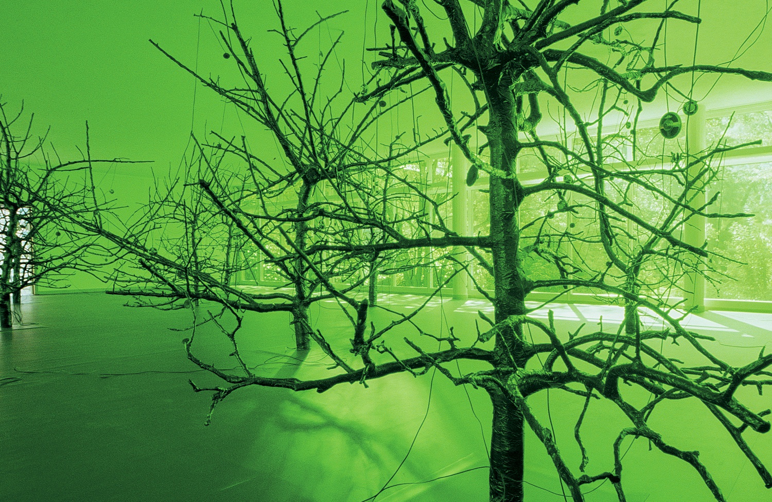 i never sleep. i’ve never slept at all. i’ve never had a dream. all of that could be true., 1999...