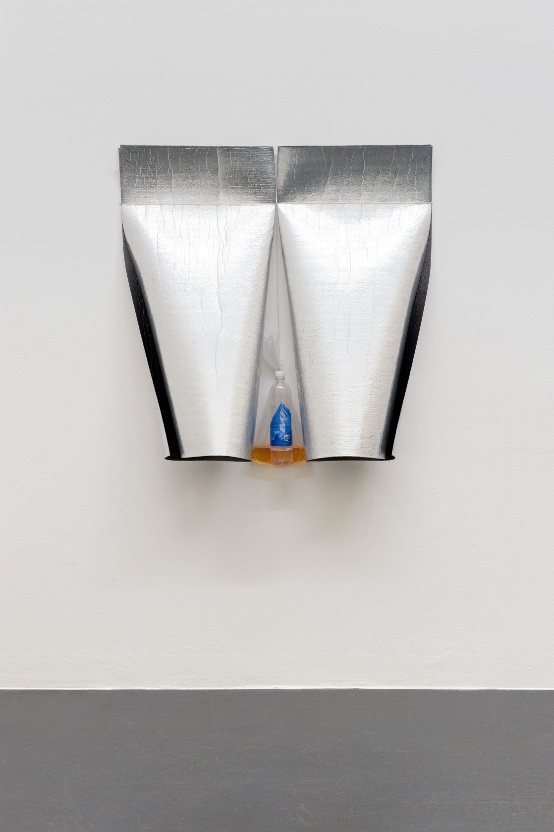 Self Portrait As Chart With Parallel Peaks And Overlapping Lines, 2015 Insulation roll, string, plastic bottle, plastic bag and undisclosed...