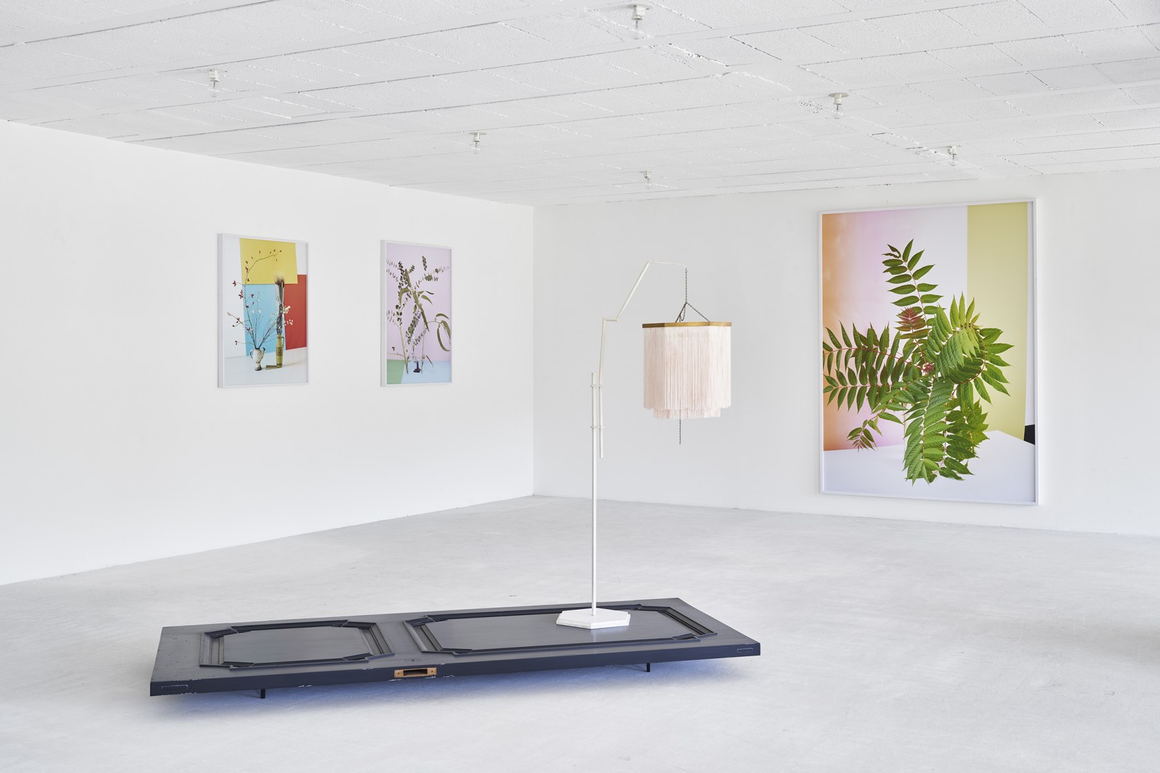 Exhibition view: Esther Schipper x Domaine du Muy, 2024 Photo © Jean-Christophe Lett