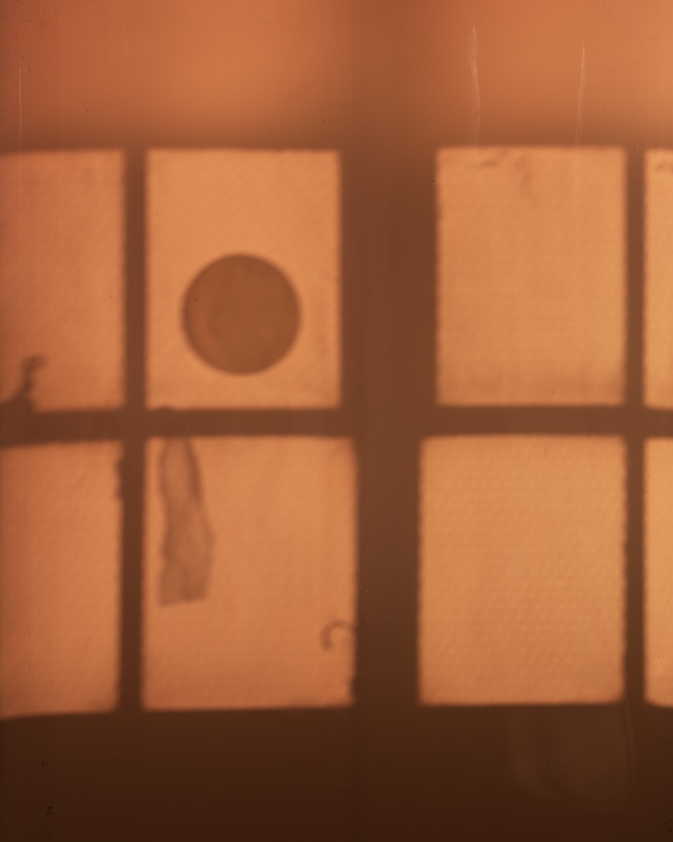 Exhibition view: Lotus L. Kang, Molt, Horizon Art Foundation, Los Angeles, 2022. Photo © Ed Mumford