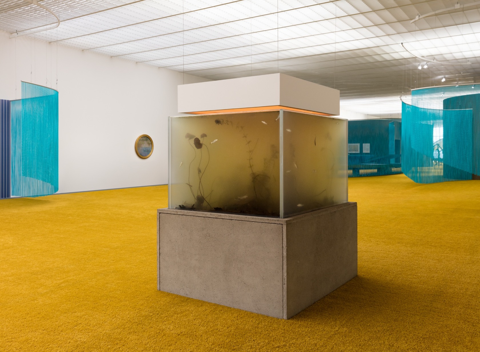 Pierre Huyghe Nymphéas Transplant (14-18), 2014 Live pond ecosystem, light box, switchable glass, concrete 95 x 126 x 91 cm...