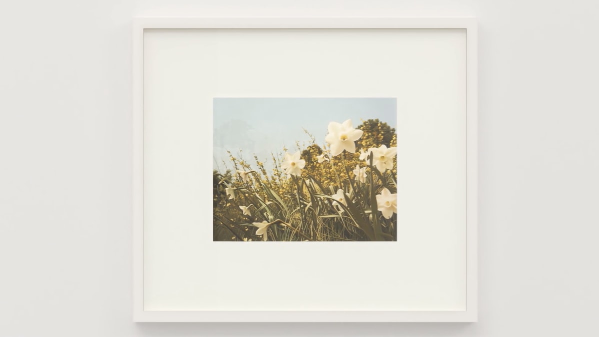 An art work by Andrew Grassie