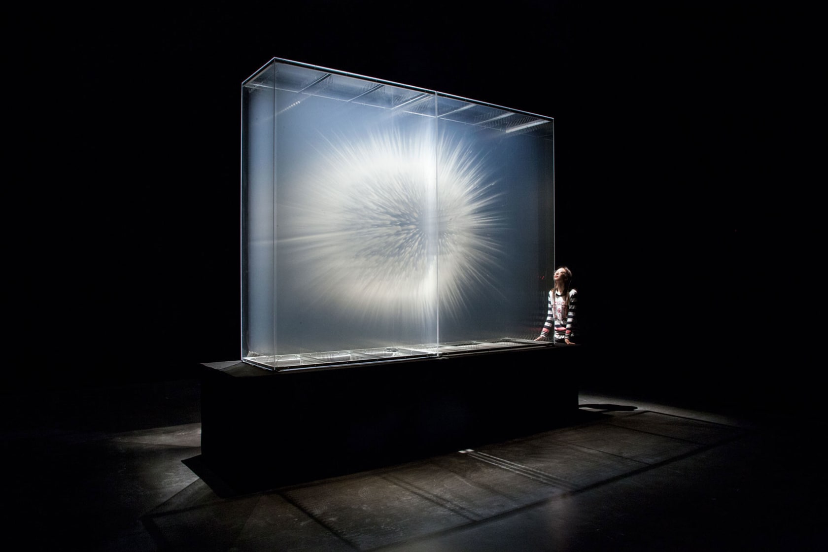 David Spriggs, Vision, 2010