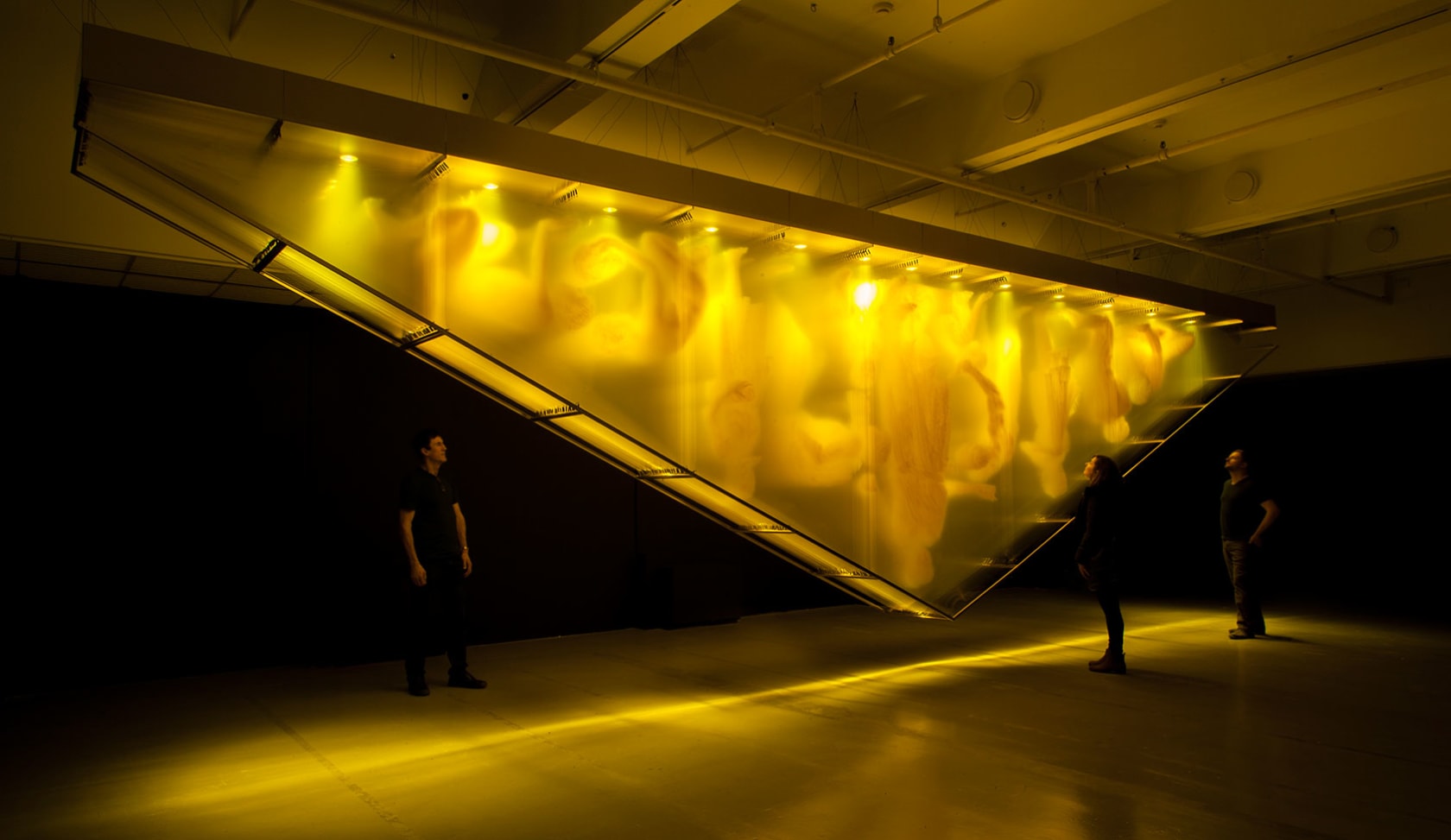 David Spriggs, Stratachrome Gold, 2017