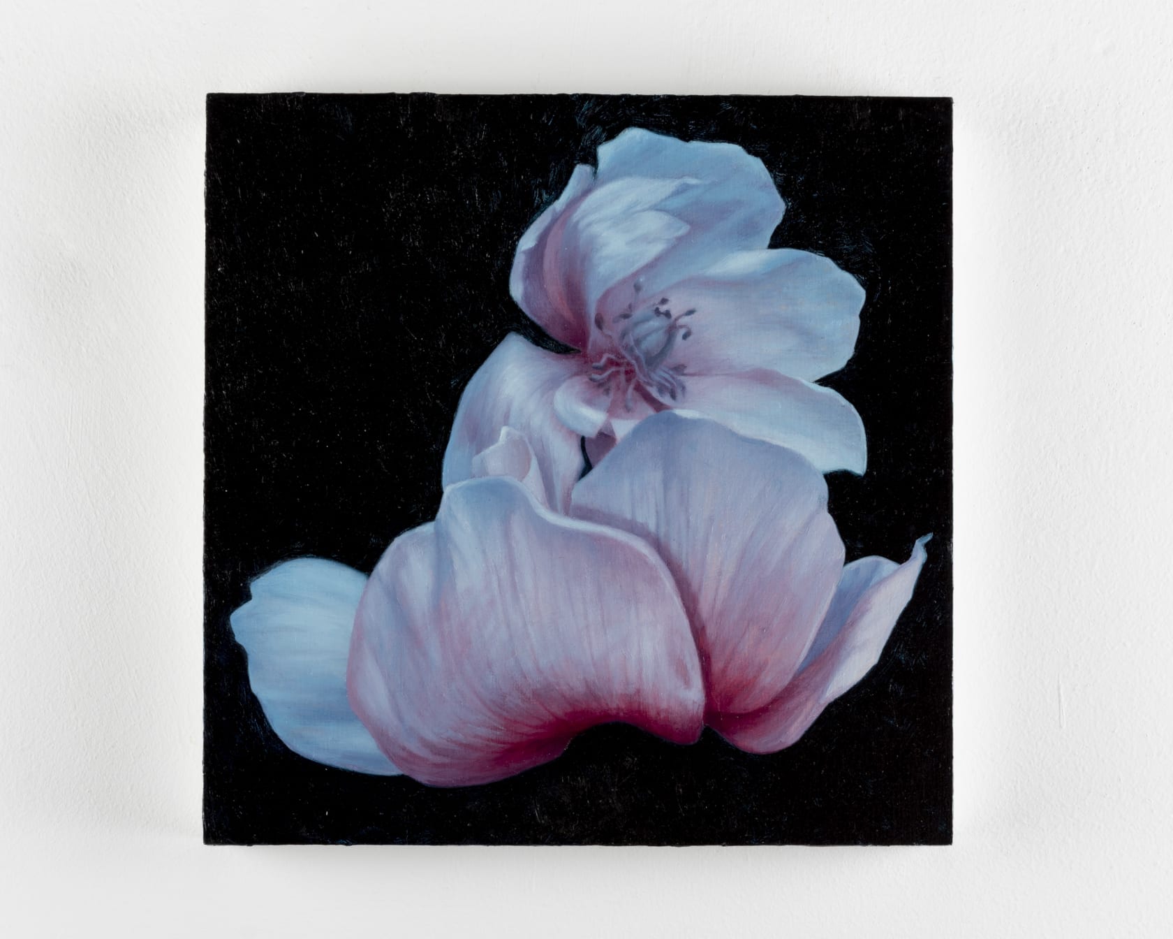 Aleah Chapin, Blossom 2, 2020 Flowers Gallery
