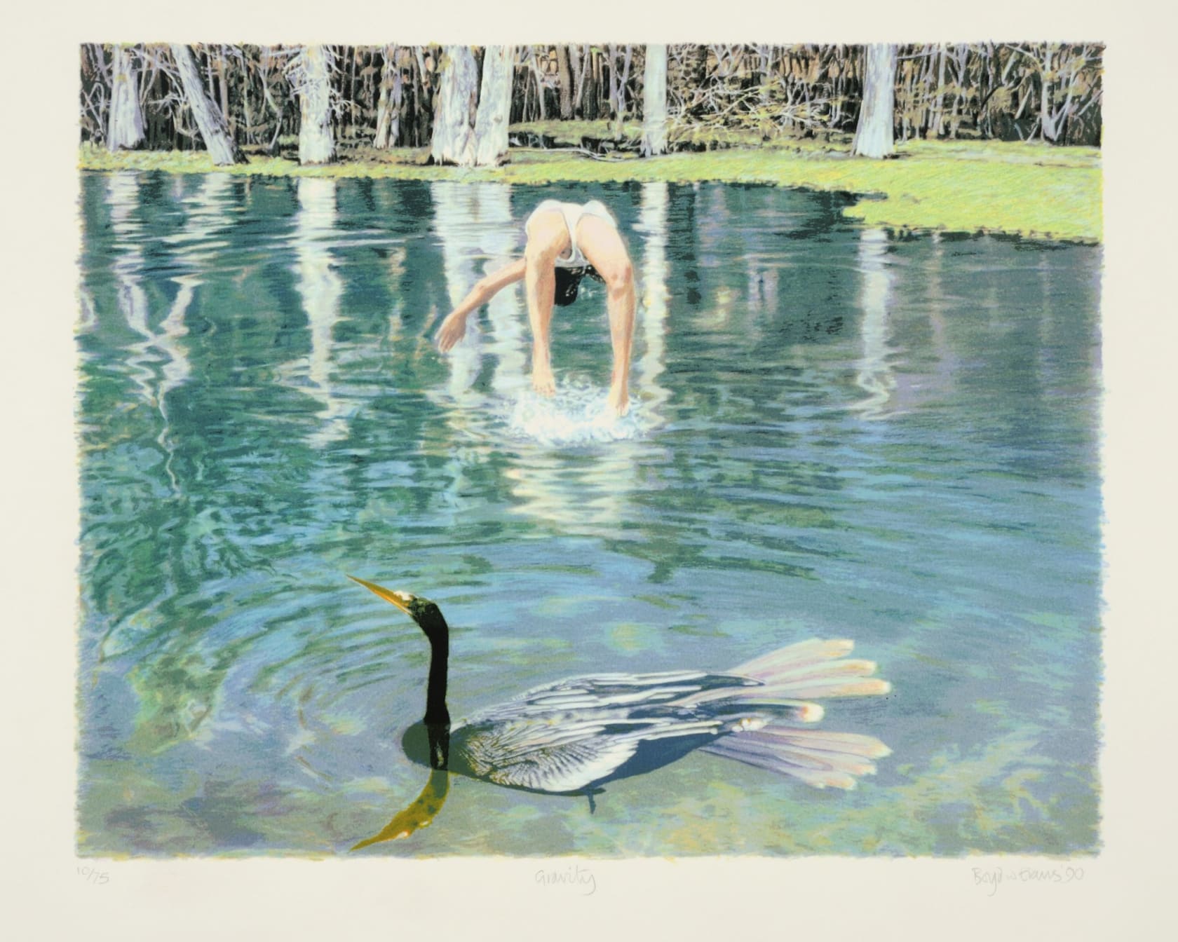 Boyd & Evans, Bird/Gravity, 1990