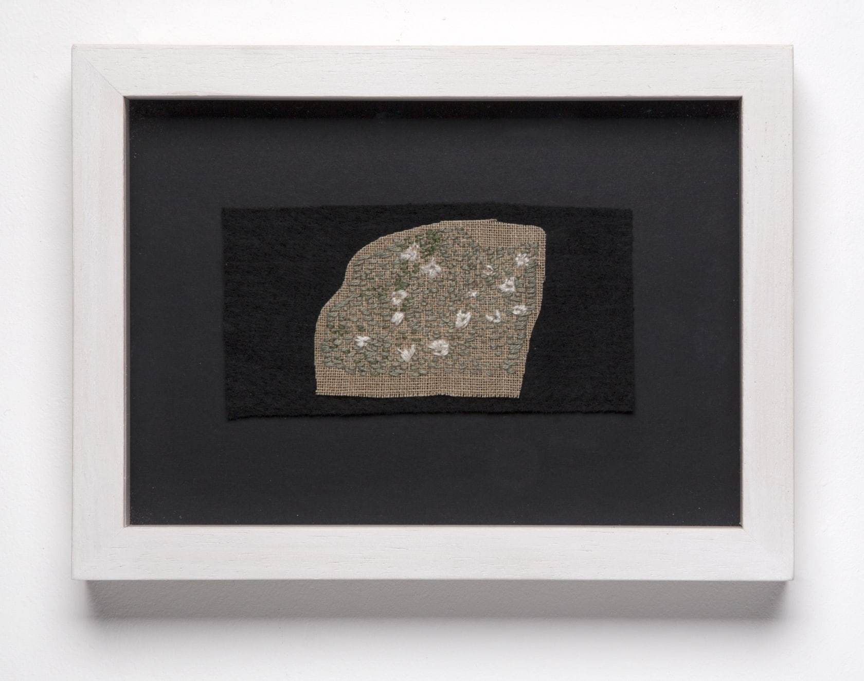 Miranda Argyle Saxifrage Rock, 2016