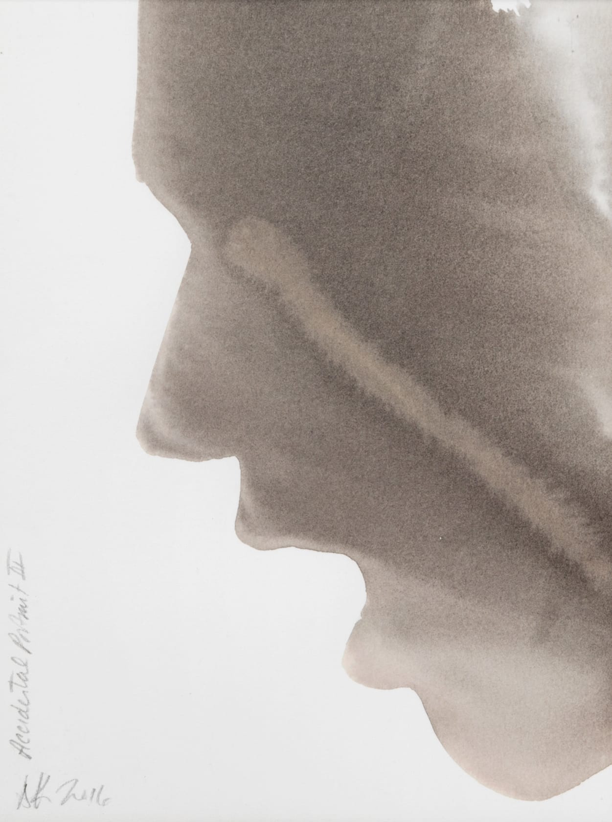 Dianne Kaufman Accidental Portrait III, 2016