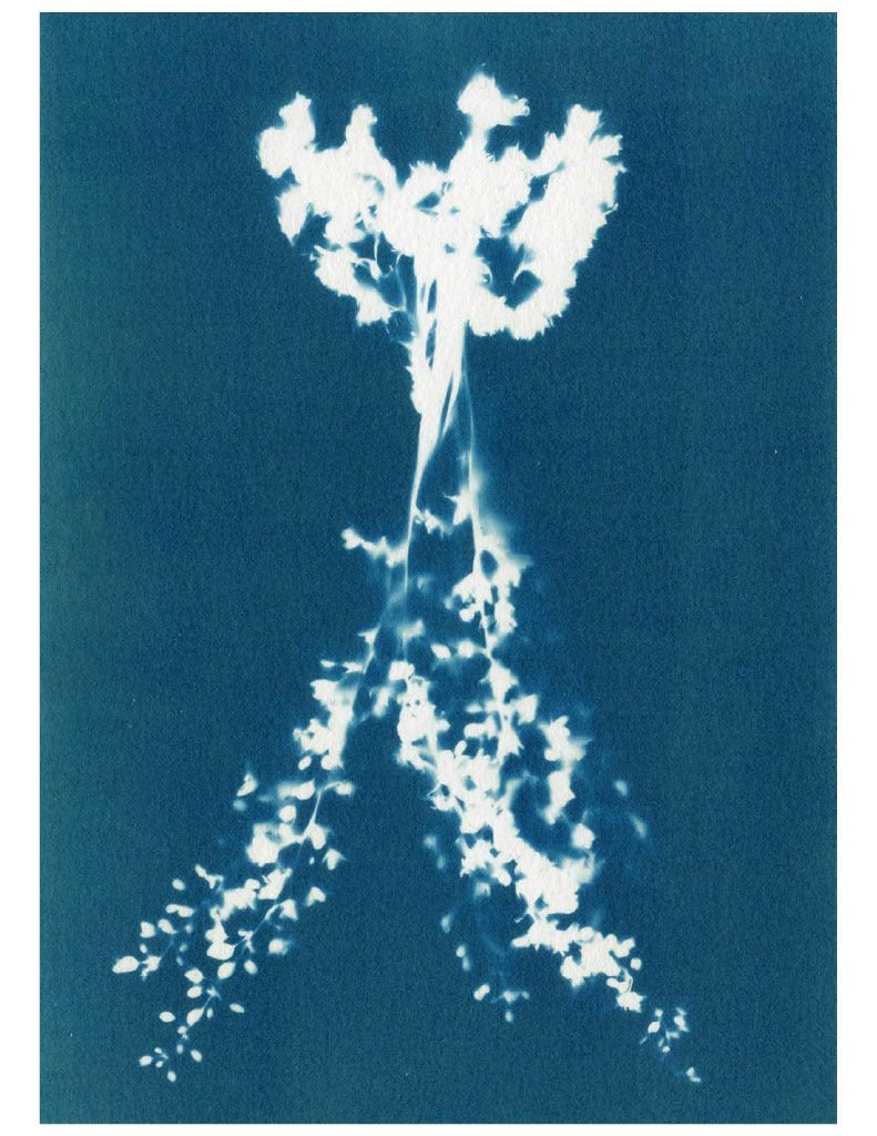 Janelle Lynch, Angel II, 2023