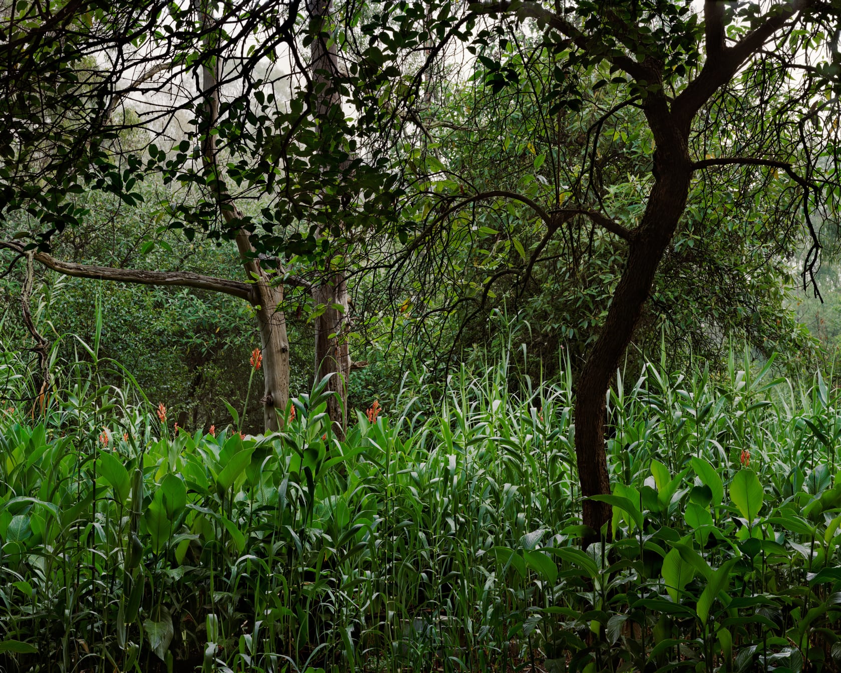 Janelle Lynch, Untitled 3 (La Fosa Común), 2007