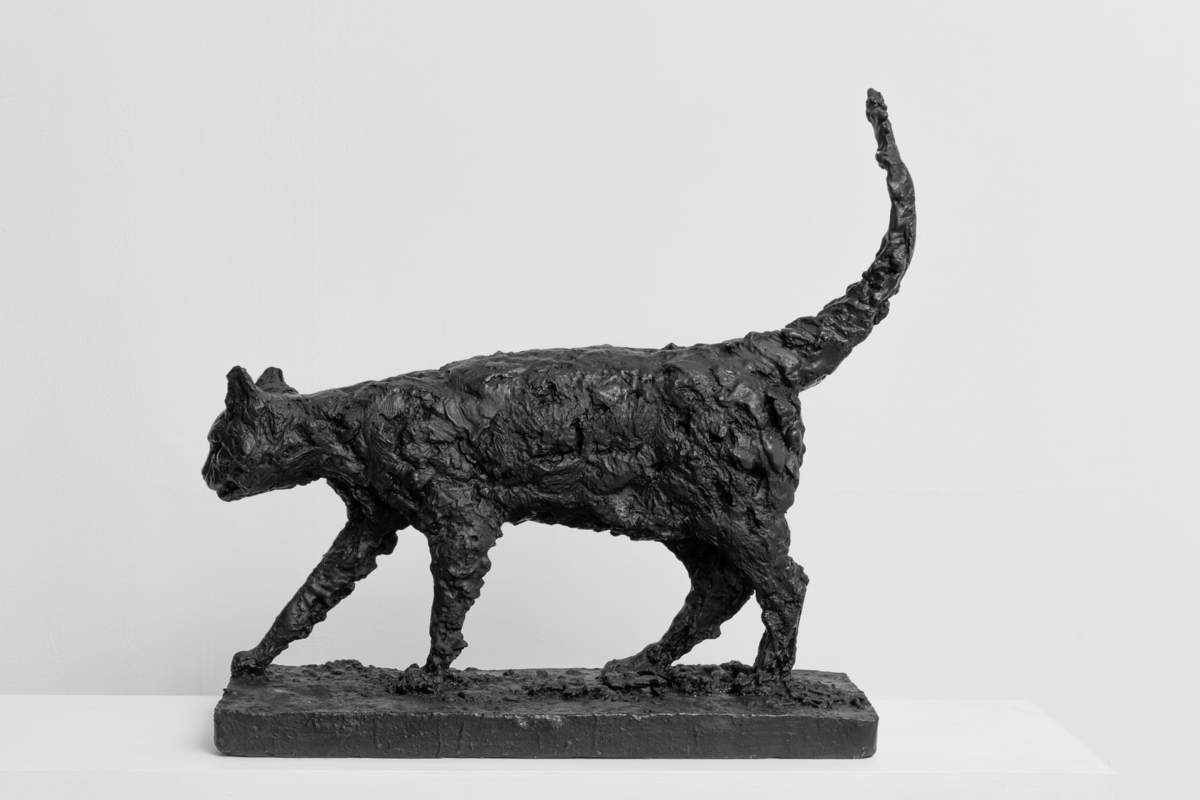 Nicola Hicks, Tom, 2017