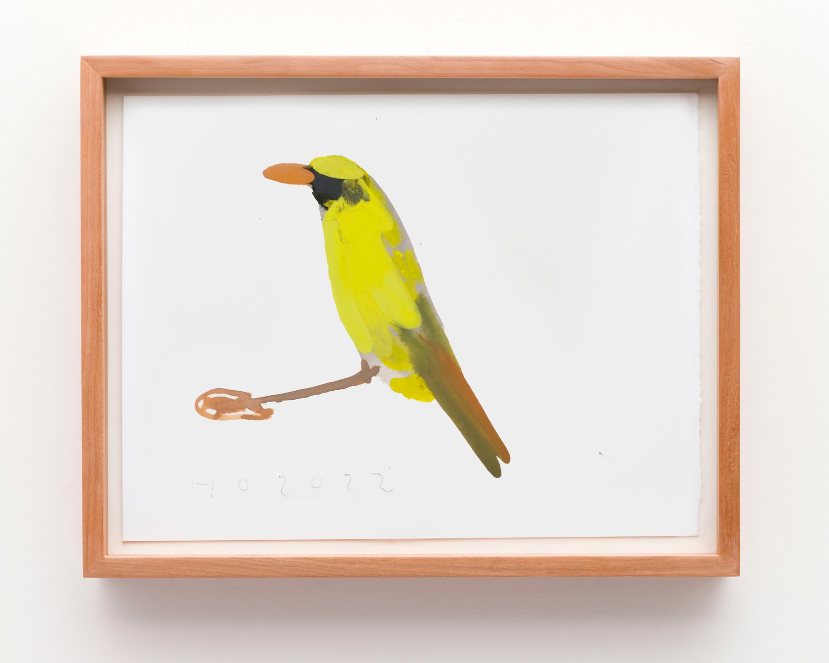 Humphrey Ocean African Citril 2, 2023