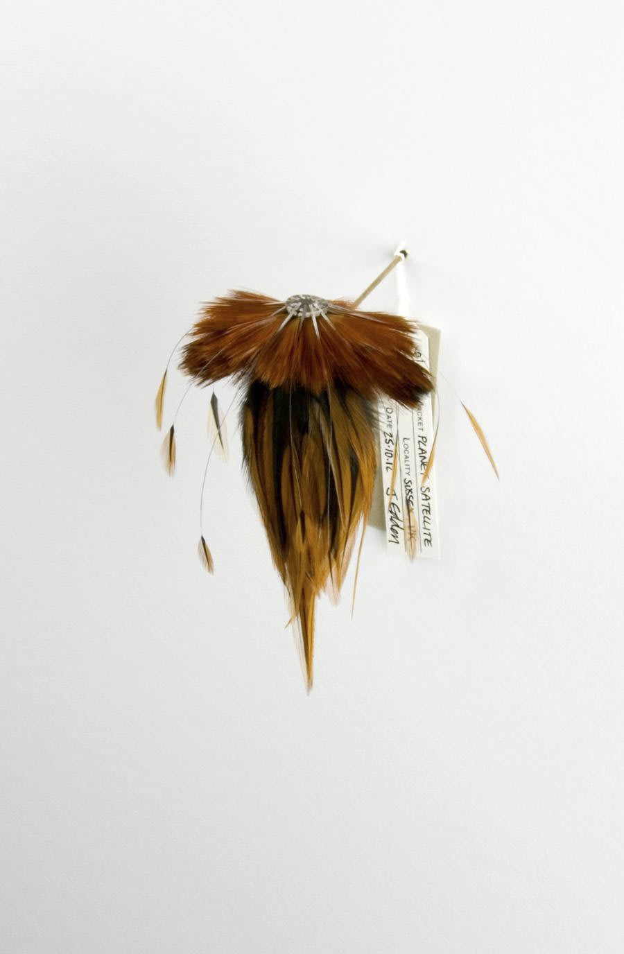 Jane Edden, 26 Planet Satellite, 2012