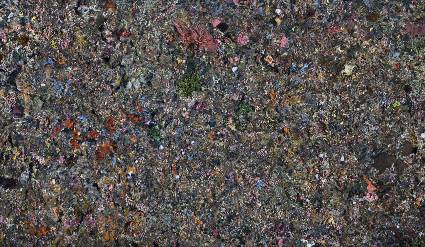 Edward Burtynsky, Pengah Wall #2, Komodo National Park, Indonesia, 2017