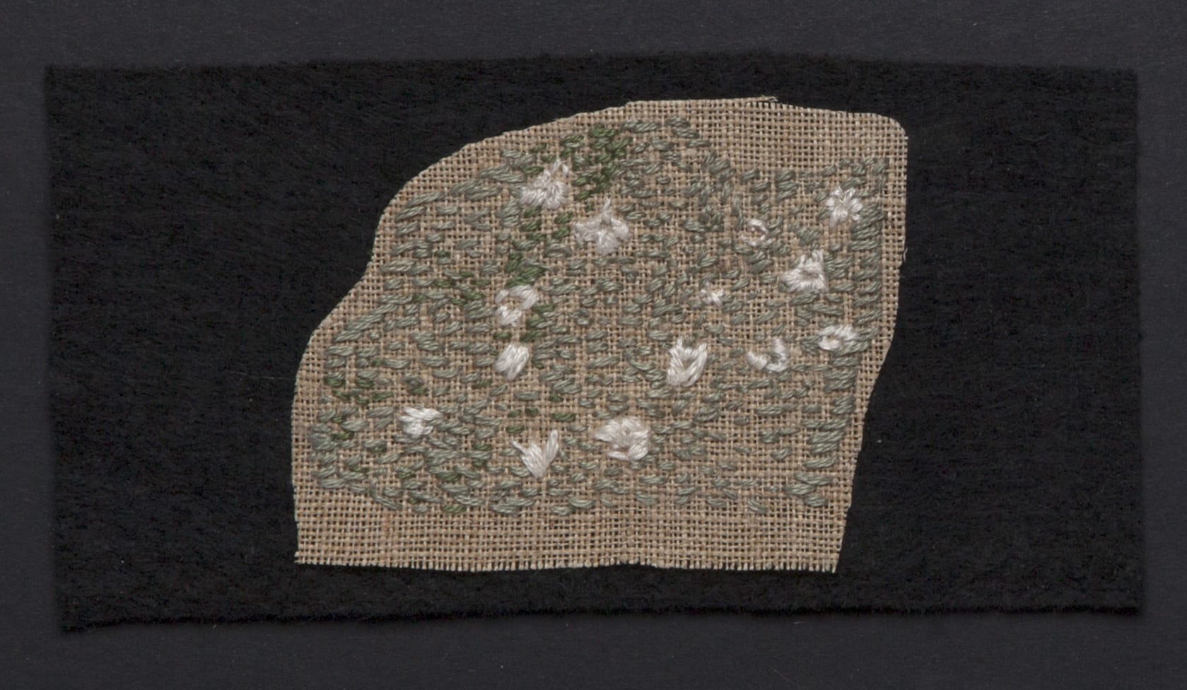 Miranda Argyle Saxifrage Rock, 2016