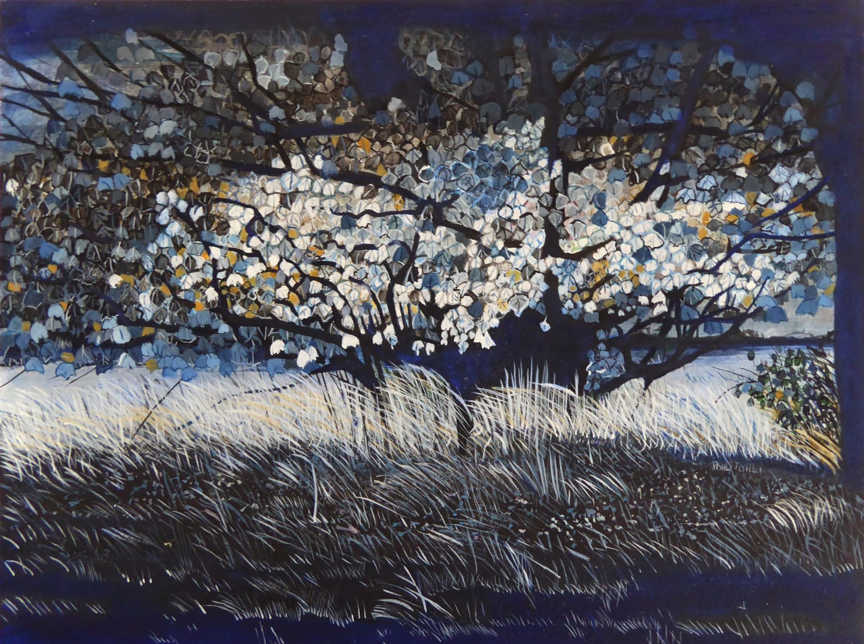 Paula Pohli Lantern Leaves , 2021