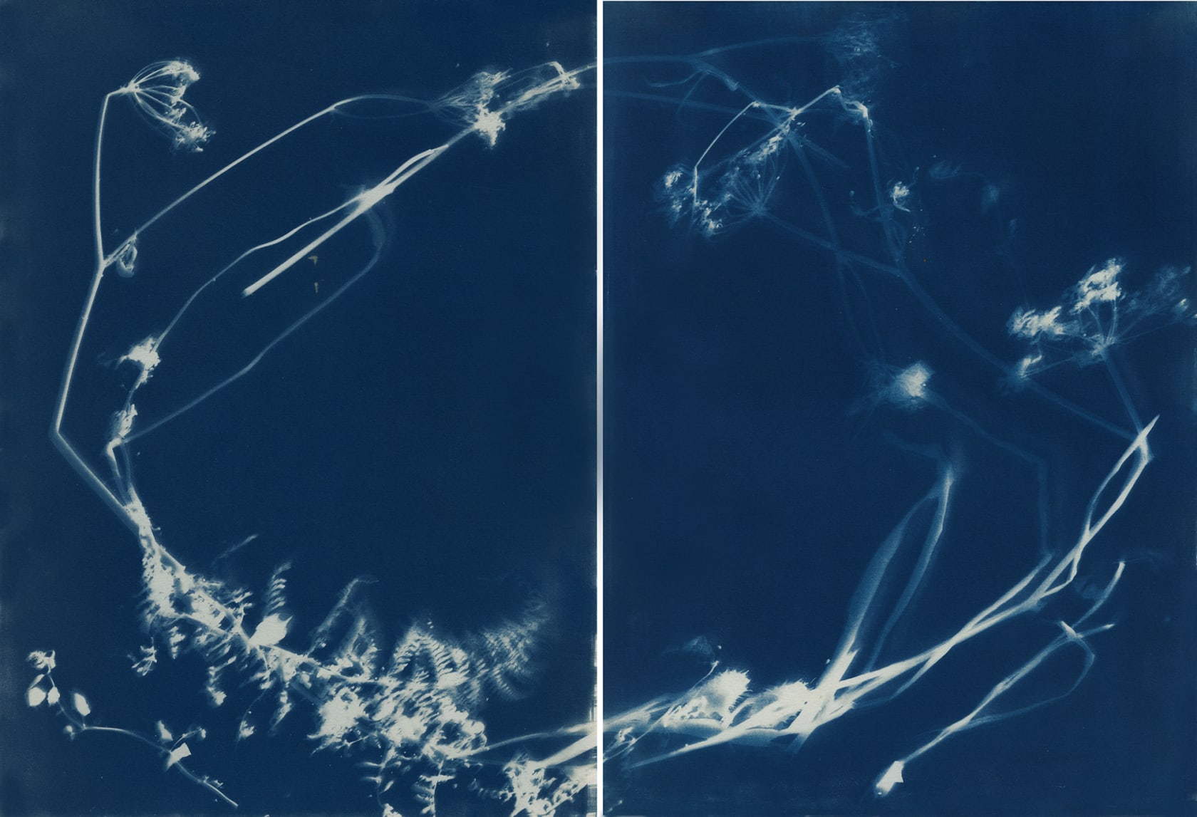 Janelle Lynch Field, 2021