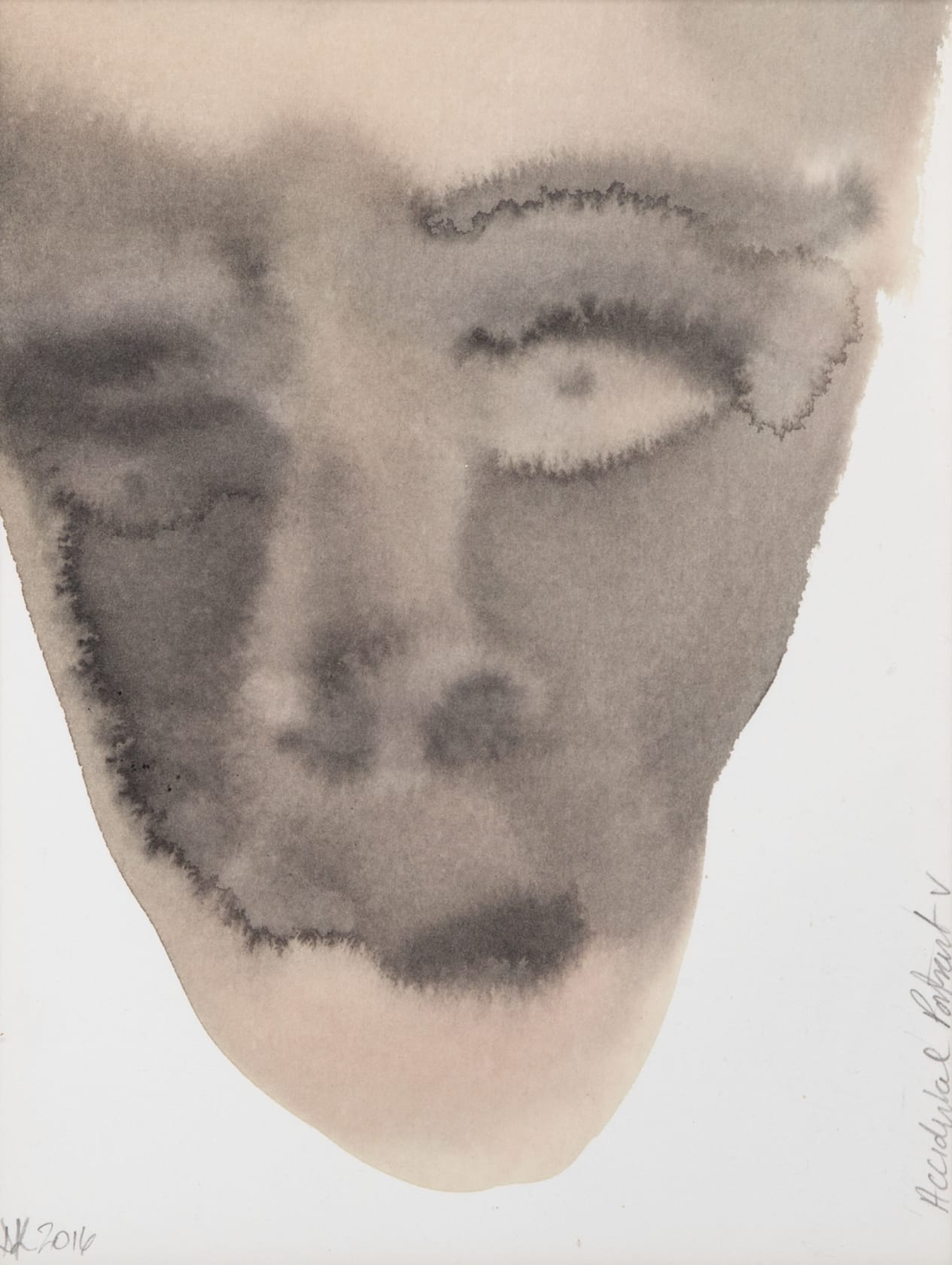 Dianne Kaufman Accidental Portrait V, 2016