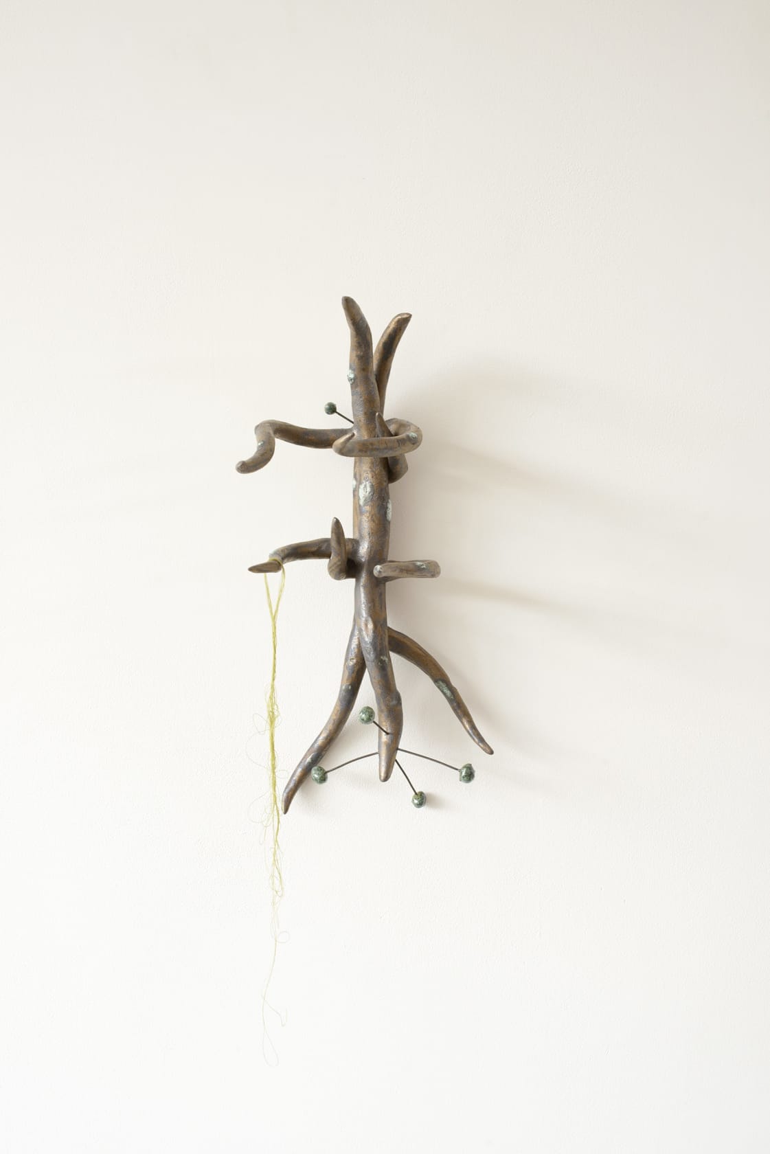 Nick Paton pocket store, 2025