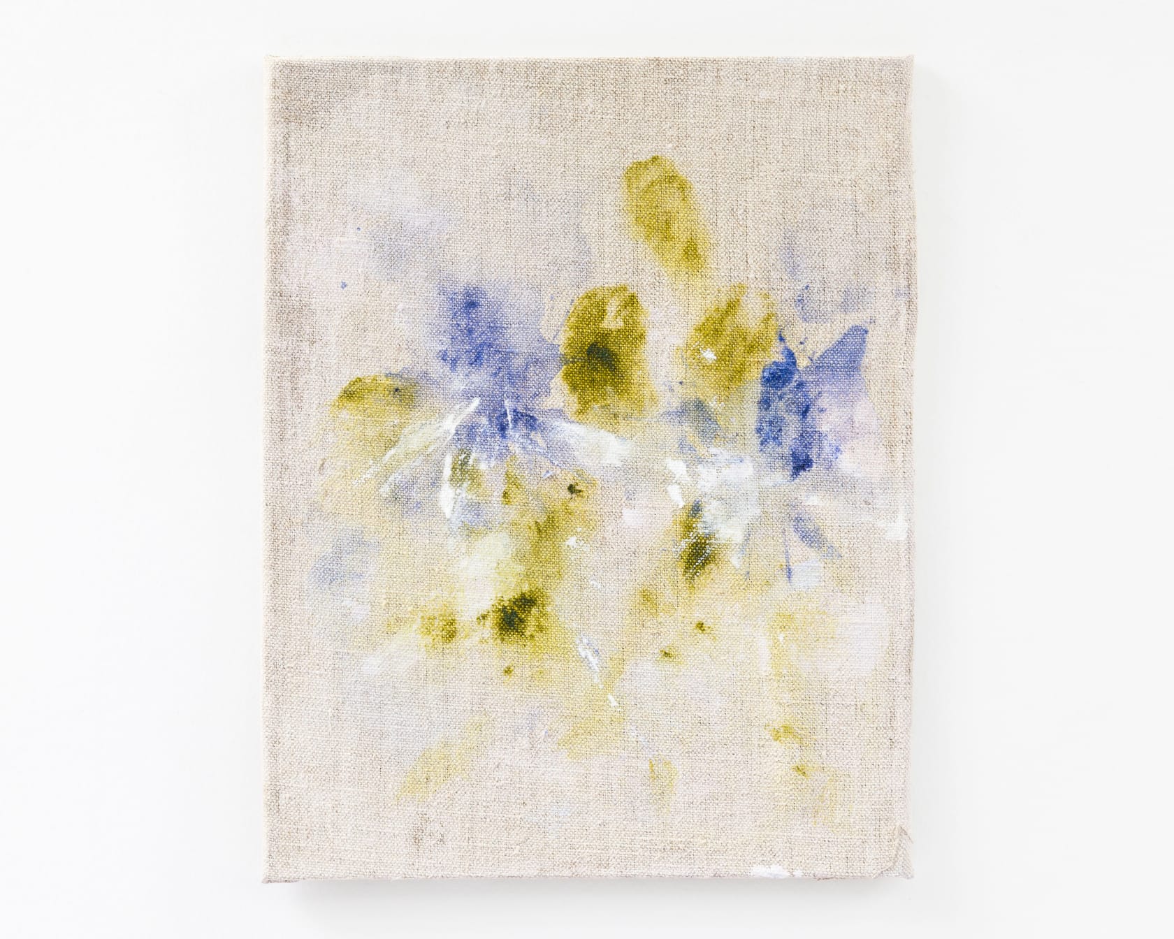 Bianca Raffaella, Eryngium Blue Thistle, 2024