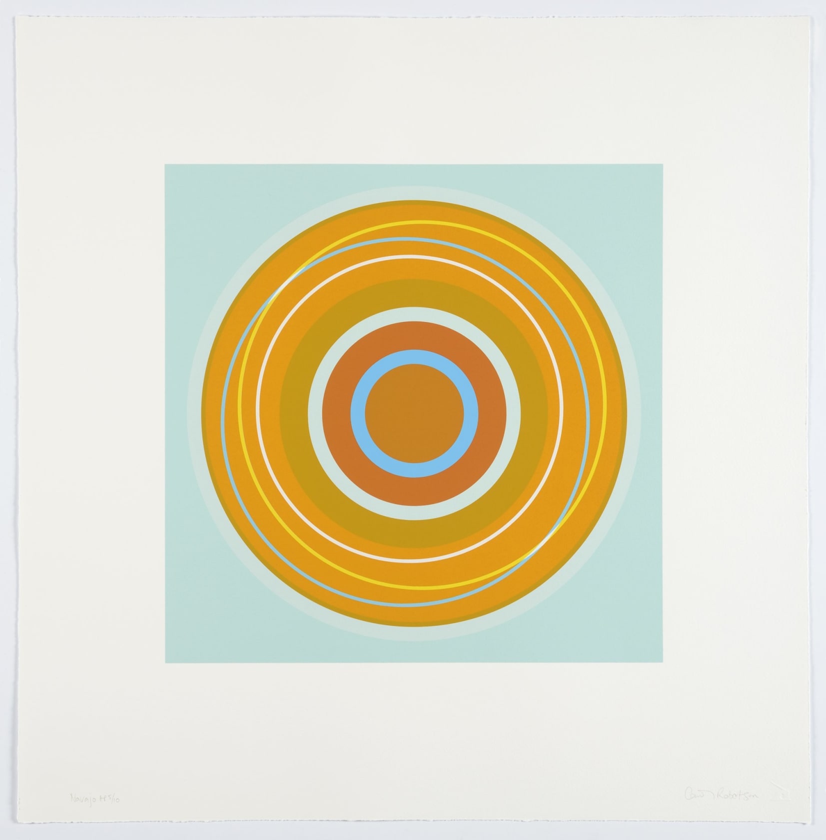 Carol Robertson Navajo, 2012