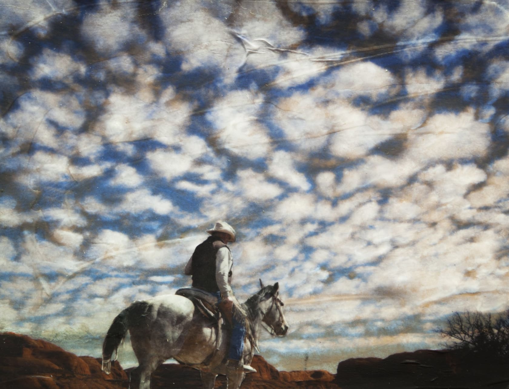 Boyd & Evans Lost Cowboy, 2012