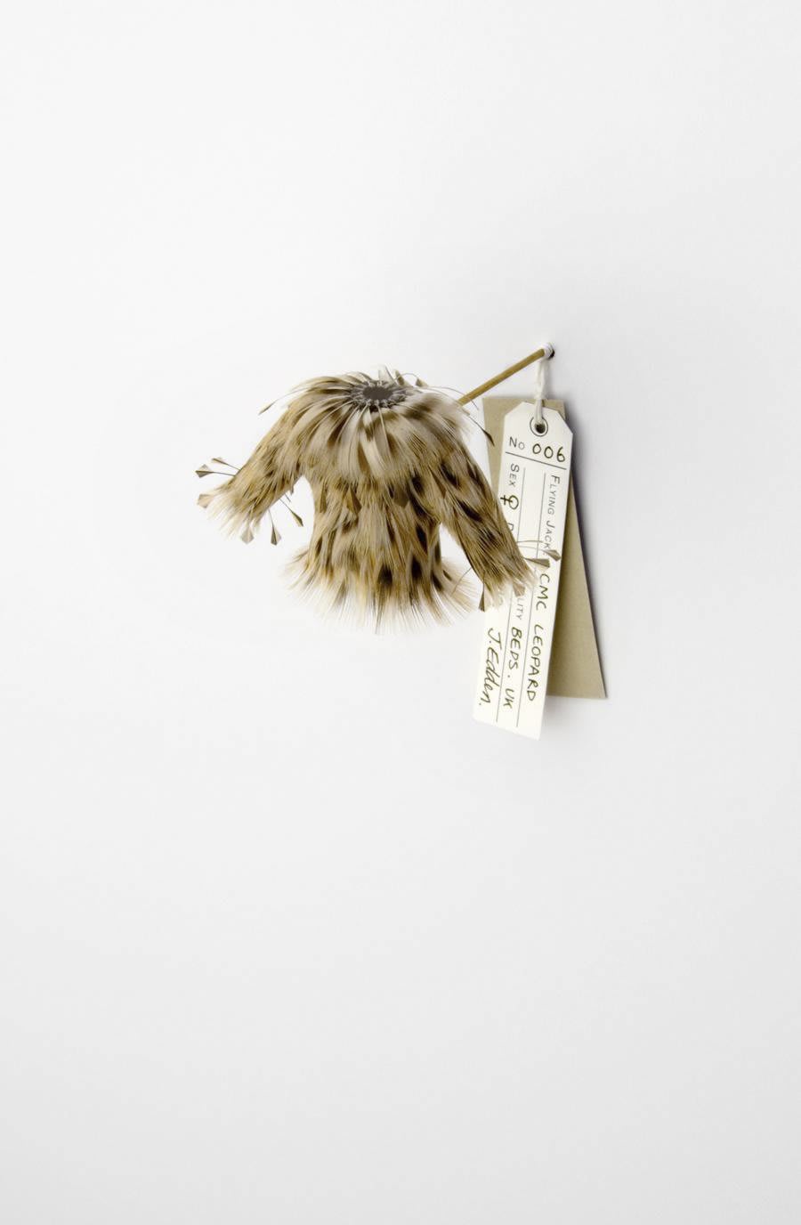 Jane Edden 06 CMC Leopard, 2012