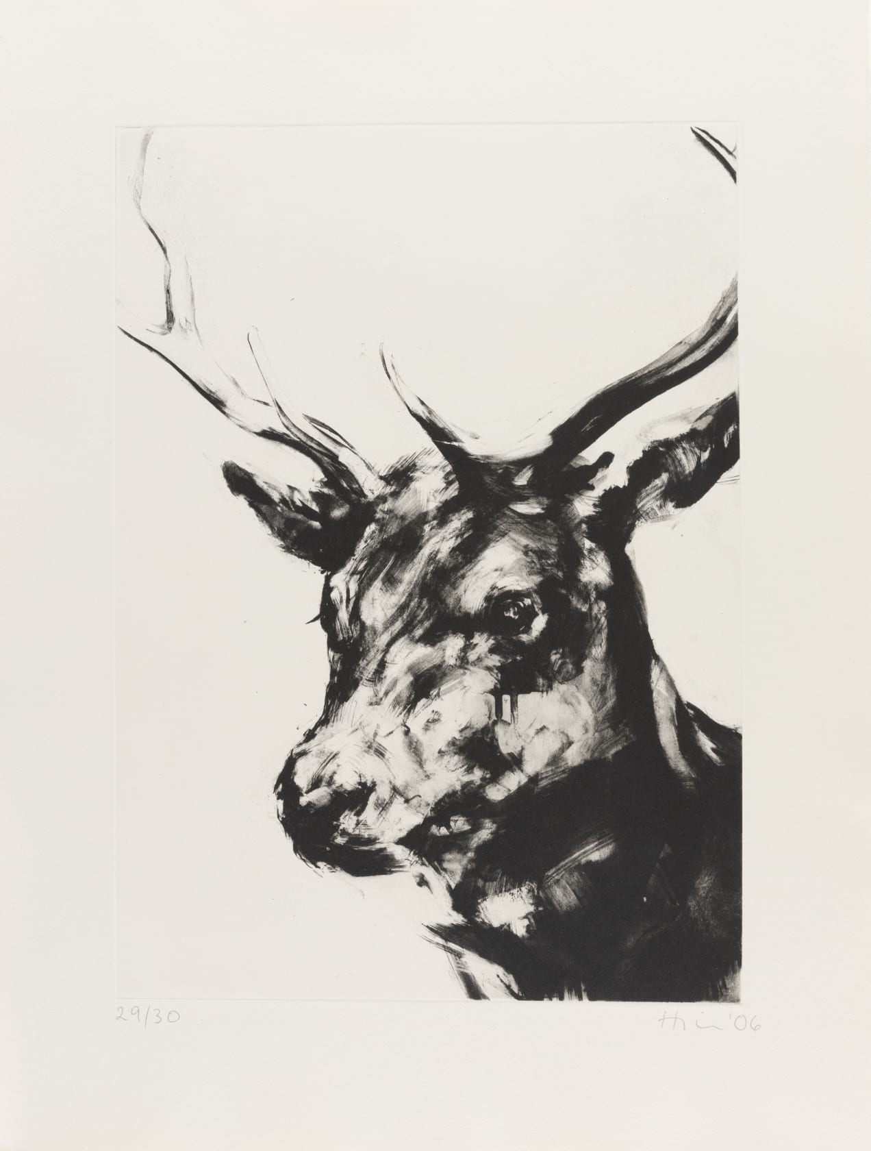 Nicola Hicks, Stag, 2006