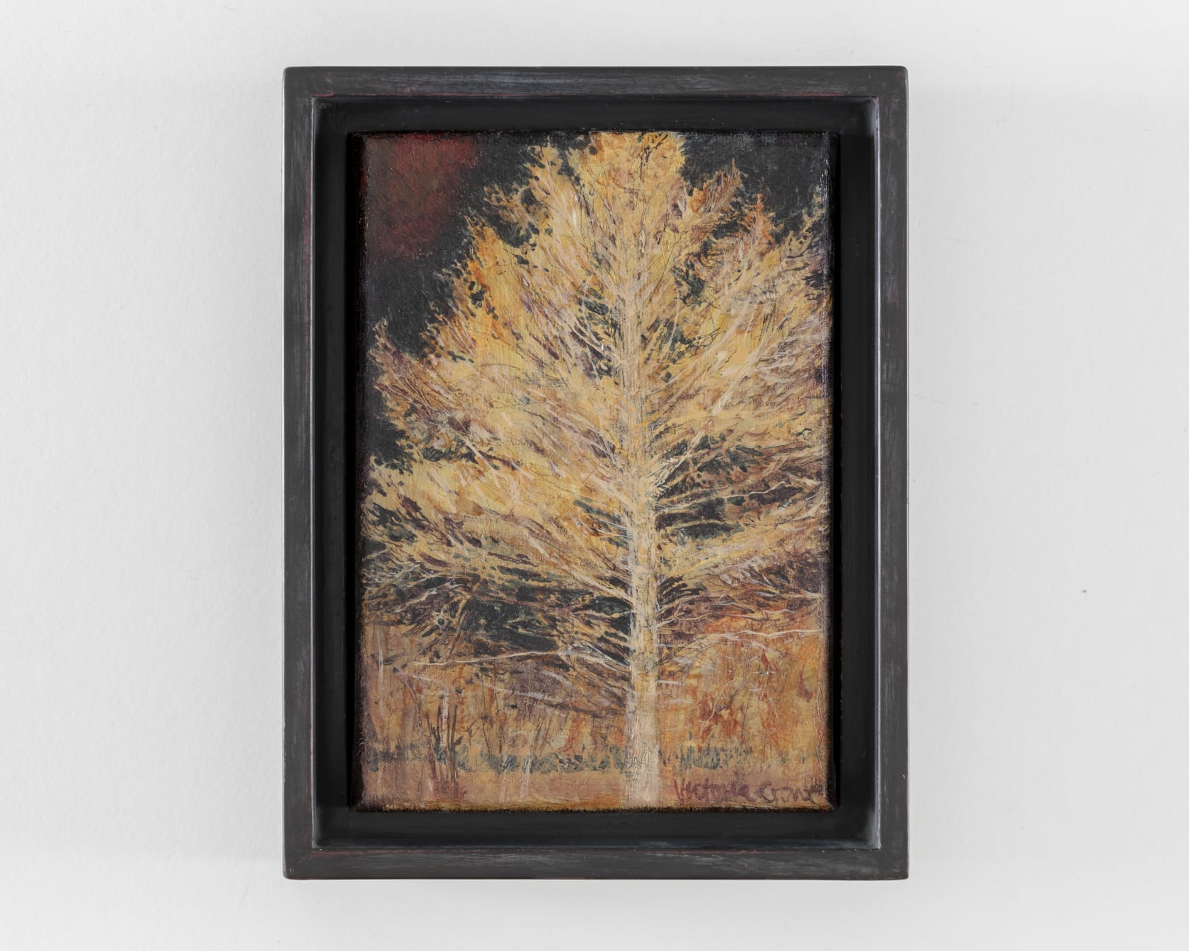 Victoria Crowe Shining Tree, 2021